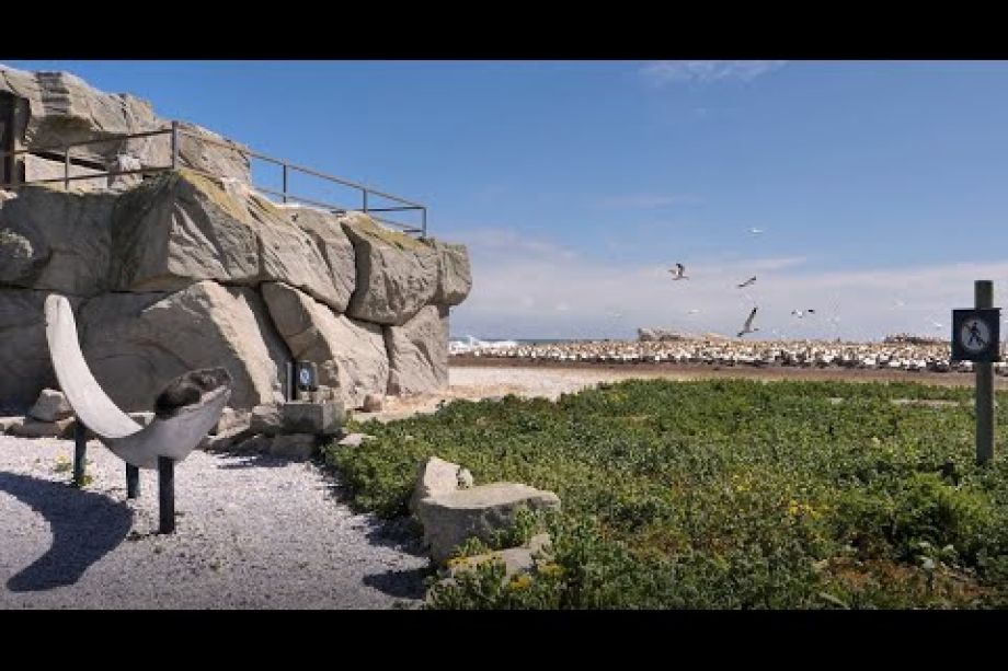 Image related to website content Image related to website content