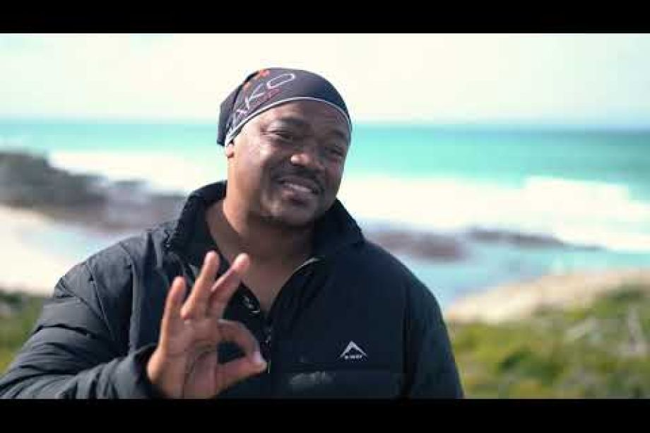 Image related to website content Image related to website content