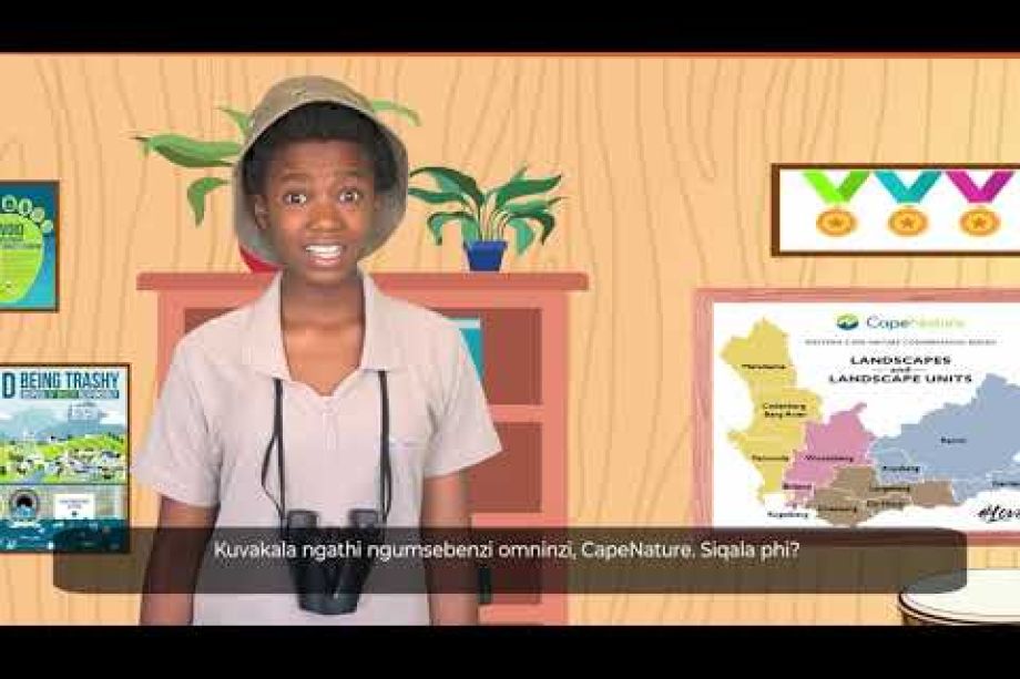 Image related to website content Image related to website content