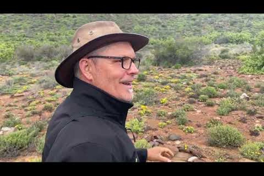 Image related to website content Image related to website content