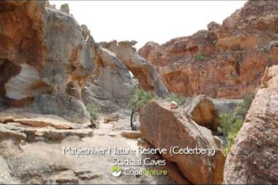 Image related to website content Image related to website content