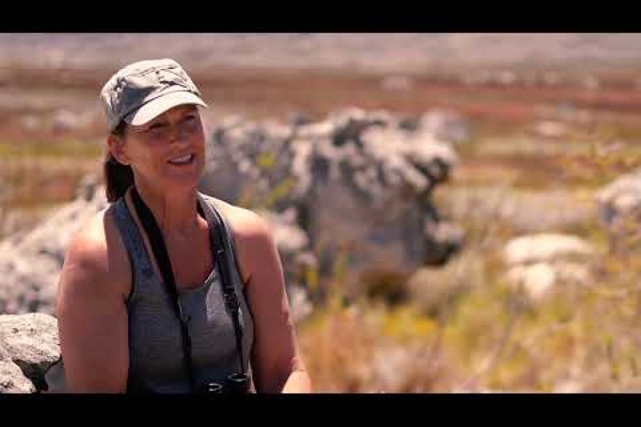 Image related to website content Image related to website content