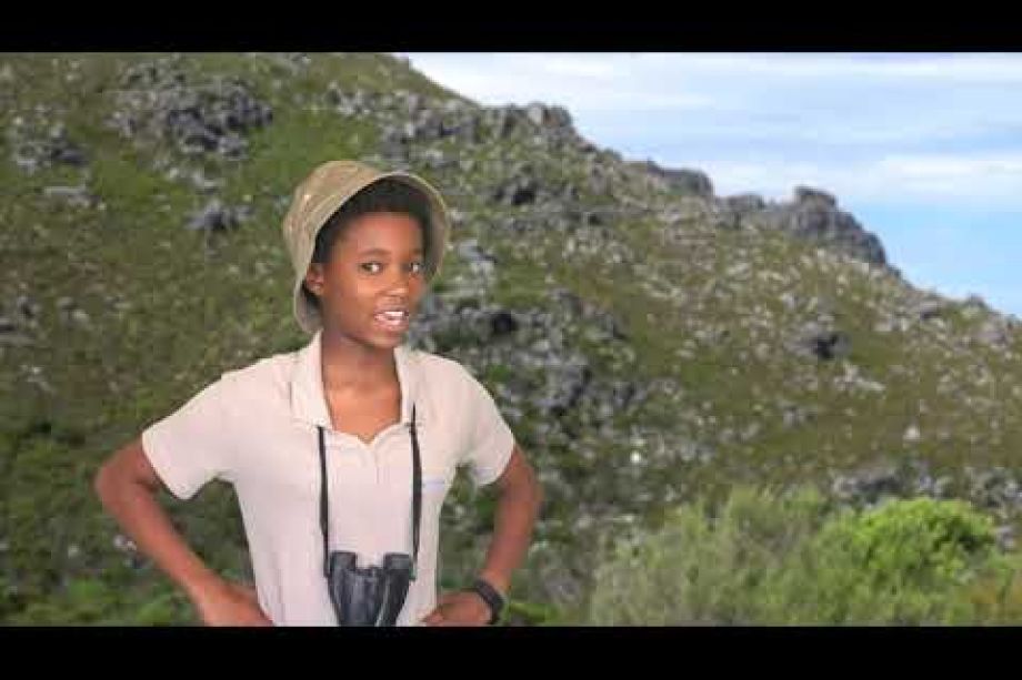 Image related to website content Image related to website content