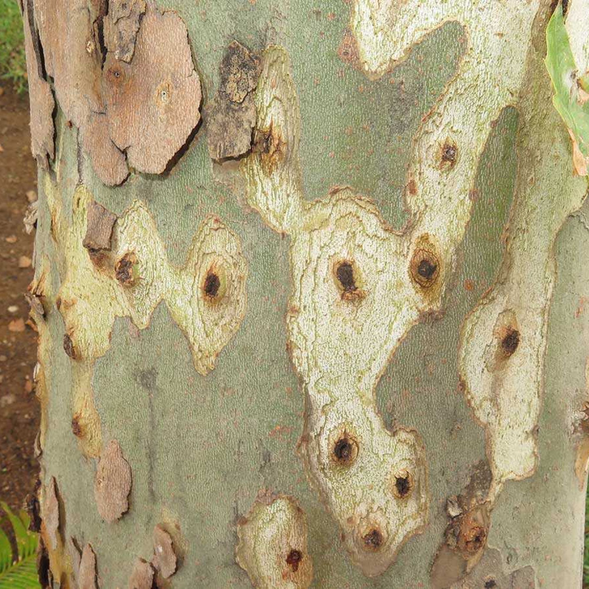 Image related to website content Image related to website content