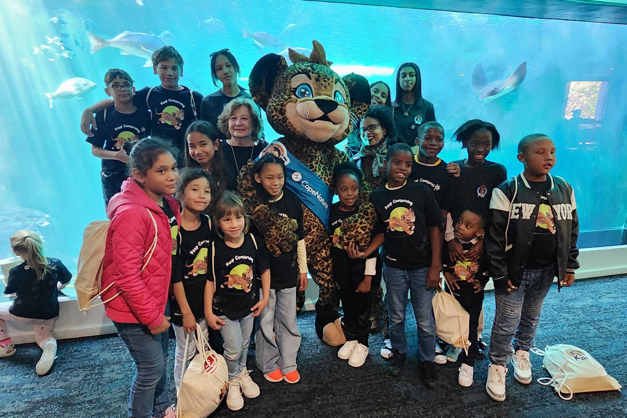 Image related to website content Image related to website content