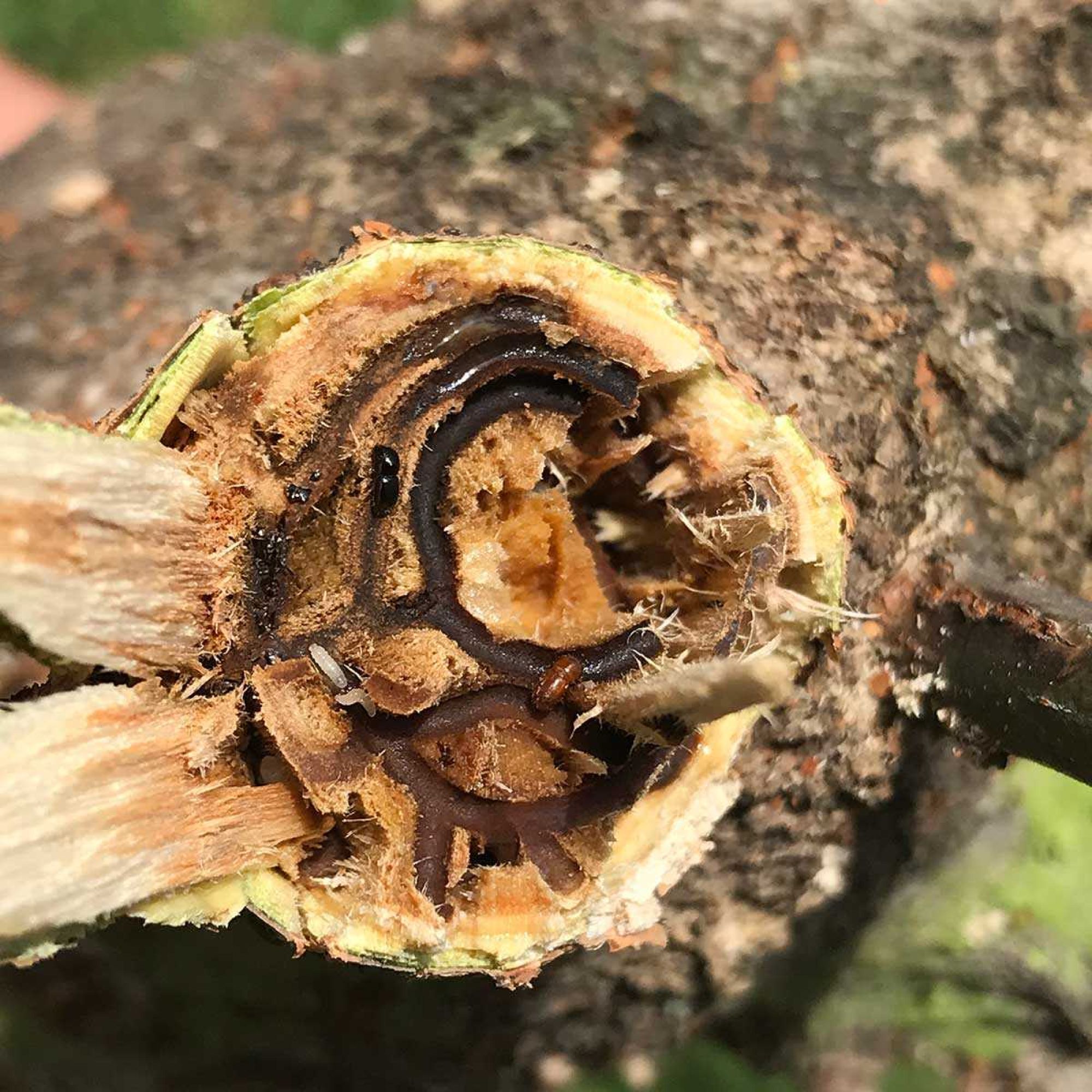 Image related to website content Image related to website content