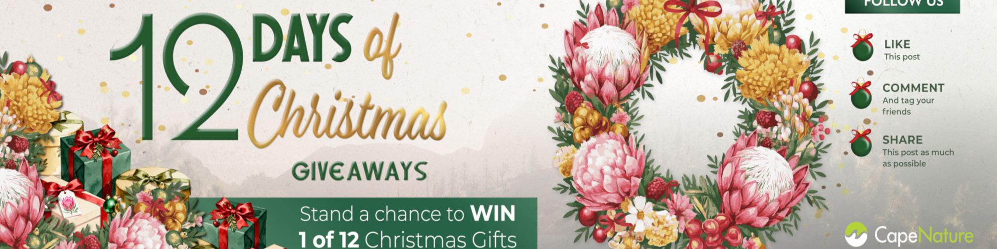 12 Days of Christmas 2025 12 Days of Christmas 2025