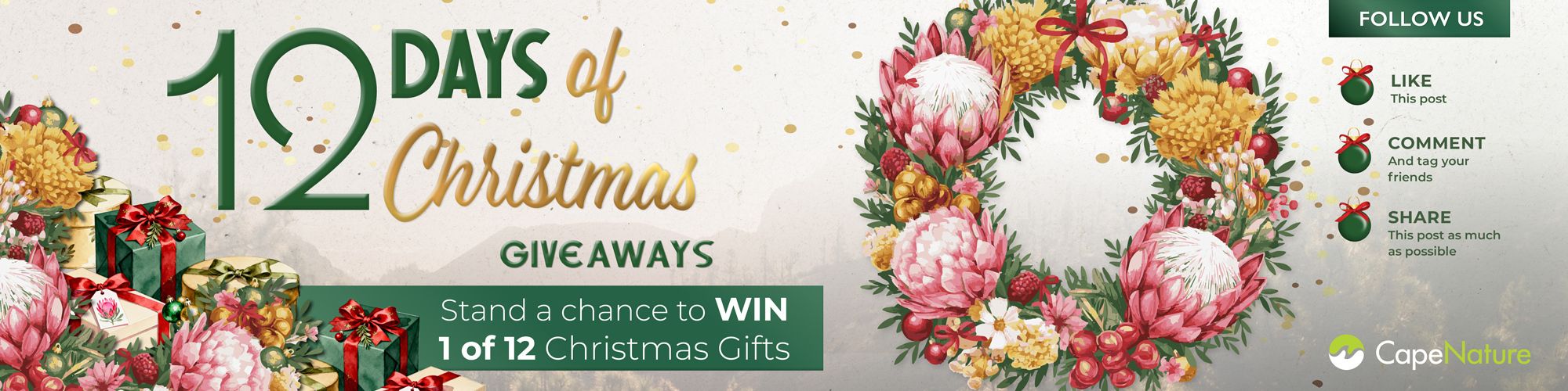 12 Days of Christmas Web Banner 12 Days of Christmas Web Banner