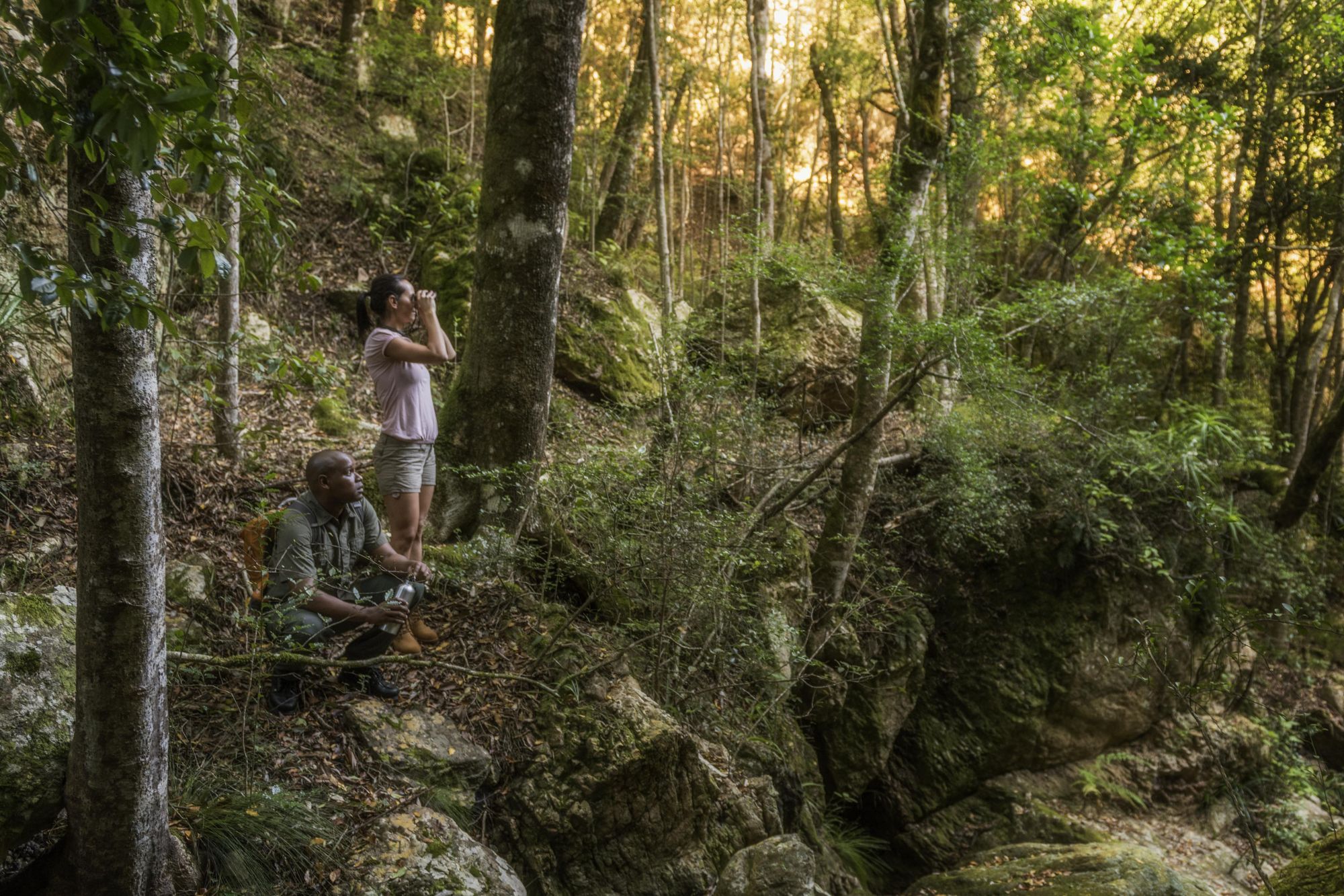 Image related to website content Image related to website content