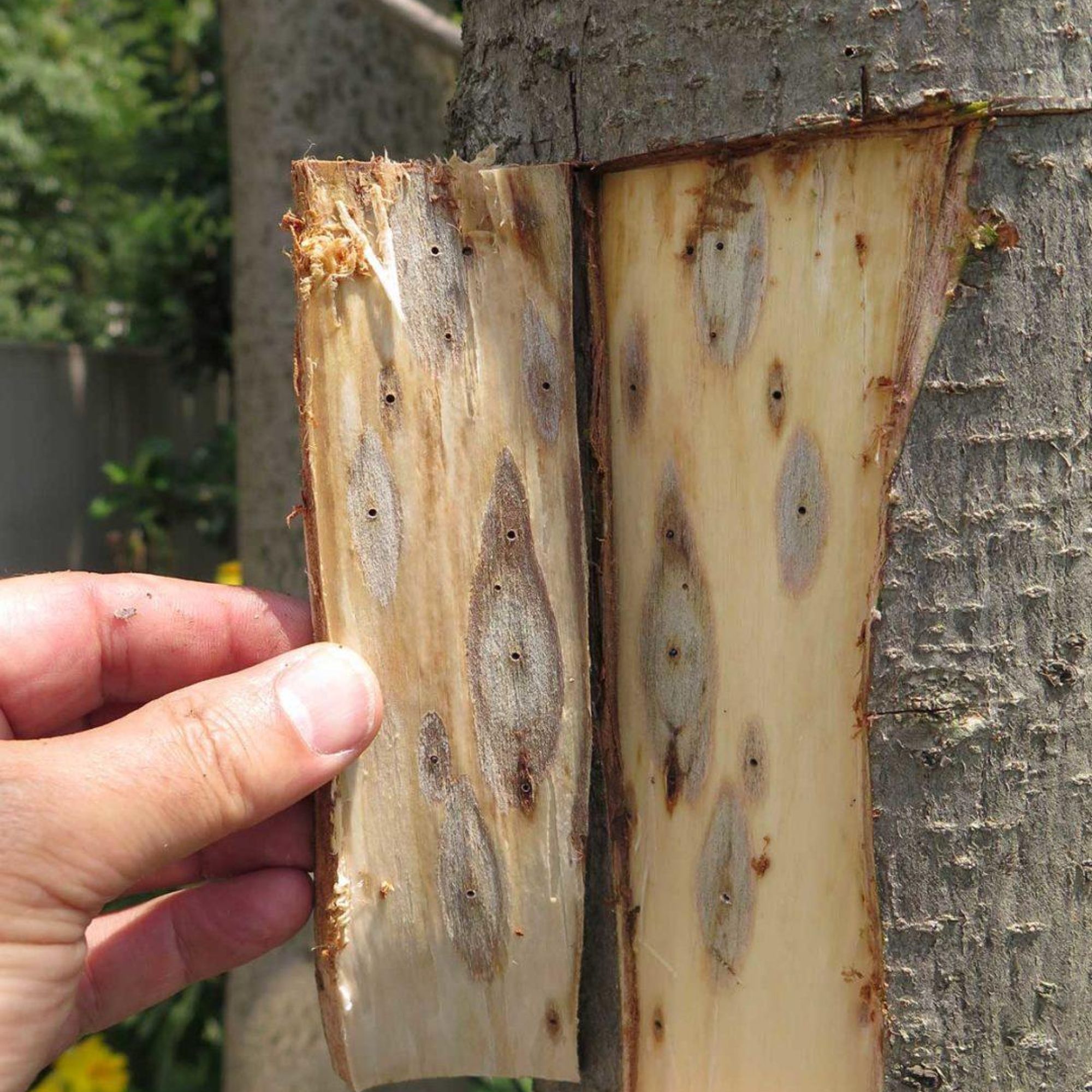 Image related to website content Image related to website content