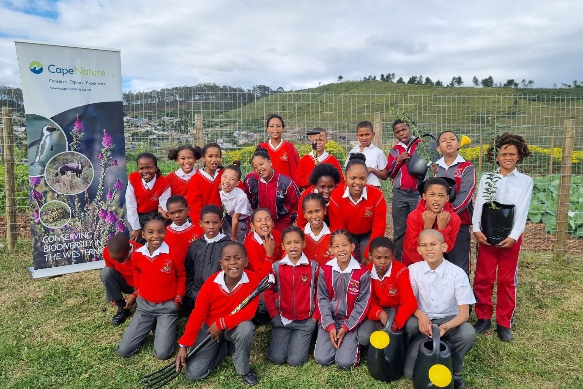 Image related to website content Image related to website content