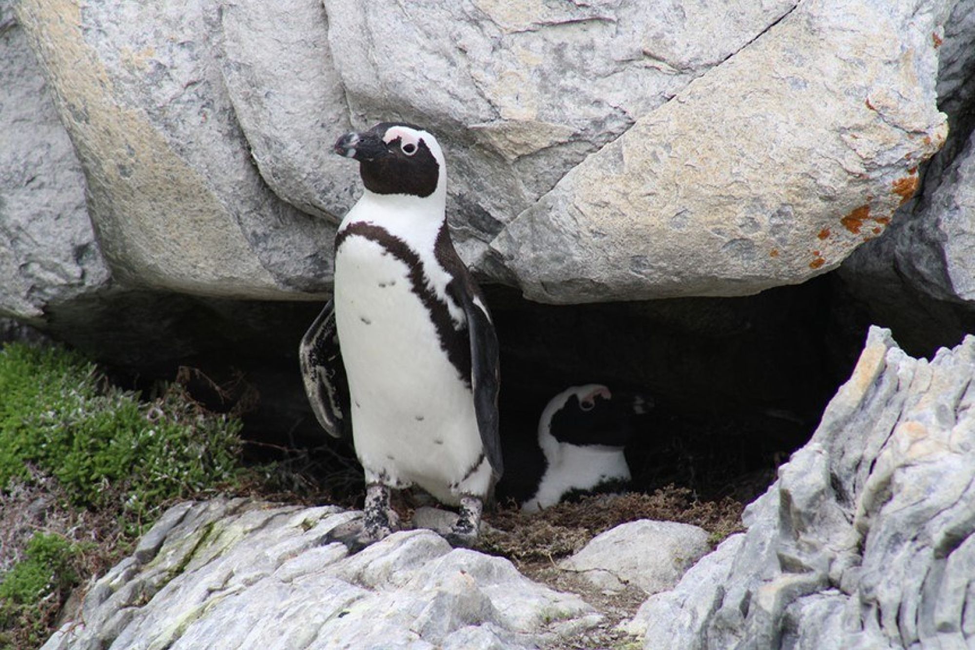 Image related to website content Image related to website content