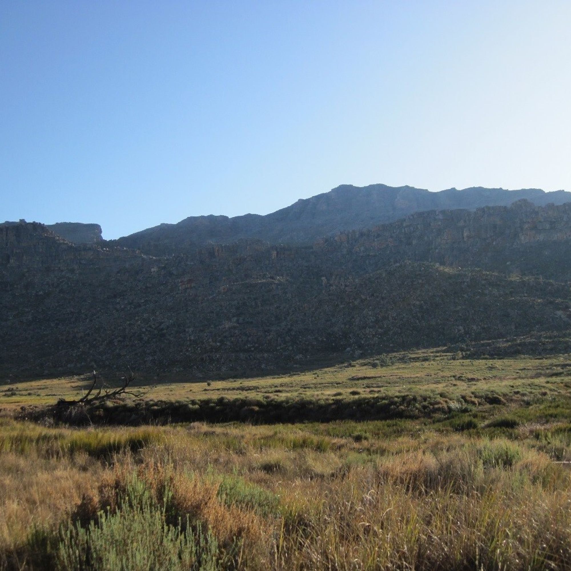 Image related to website content Image related to website content