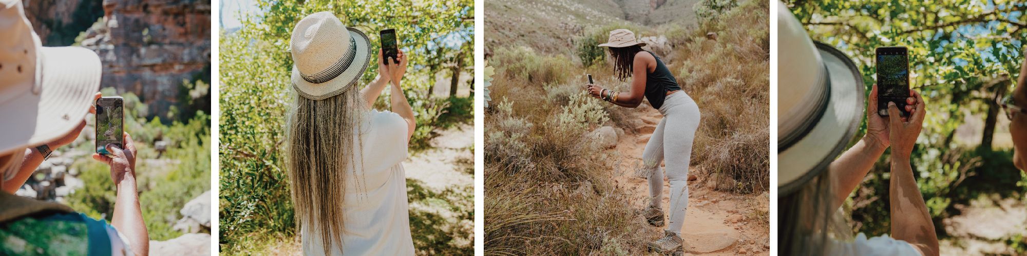 Image related to website content Image related to website content