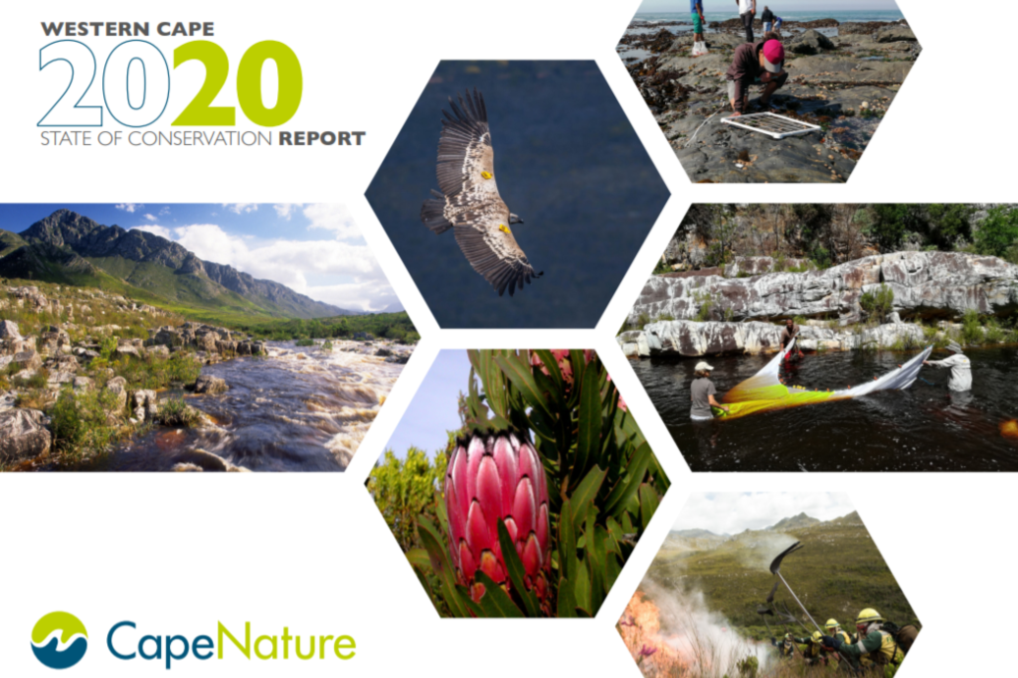 Image related to website content Image related to website content