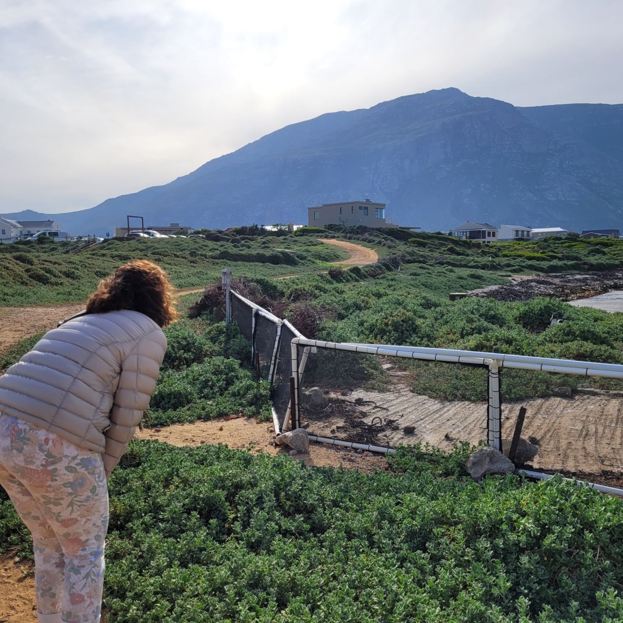 Image related to website content Image related to website content