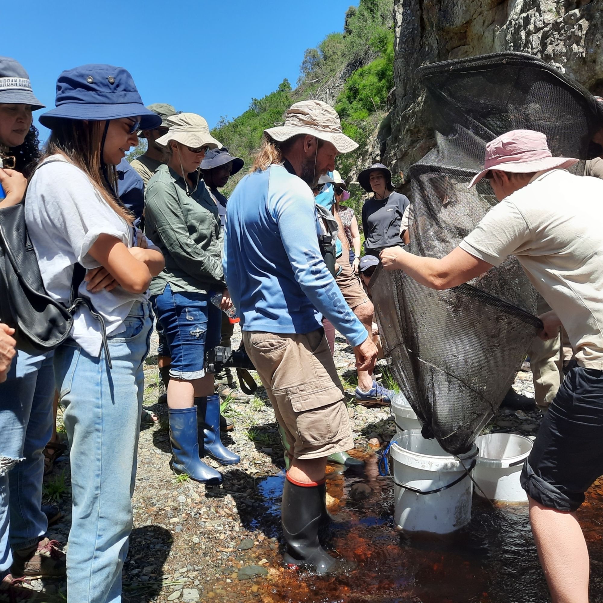 Image related to website content Image related to website content