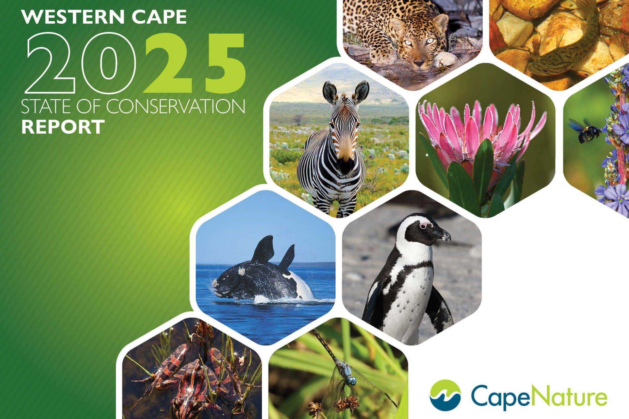 Image related to website content Image related to website content