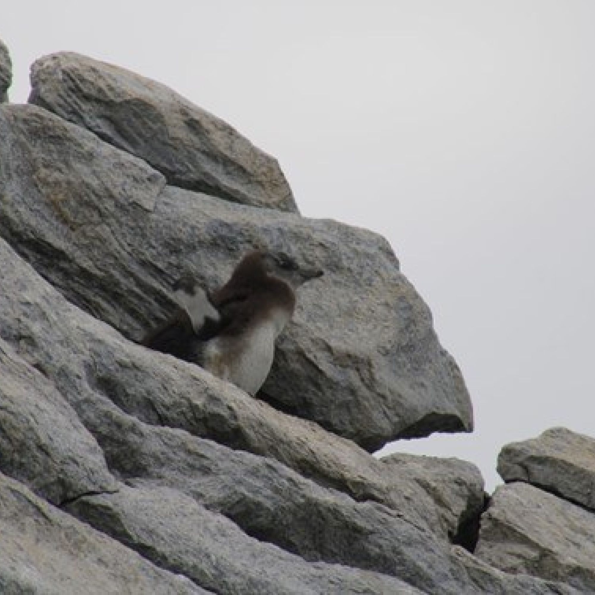 Image related to website content Image related to website content