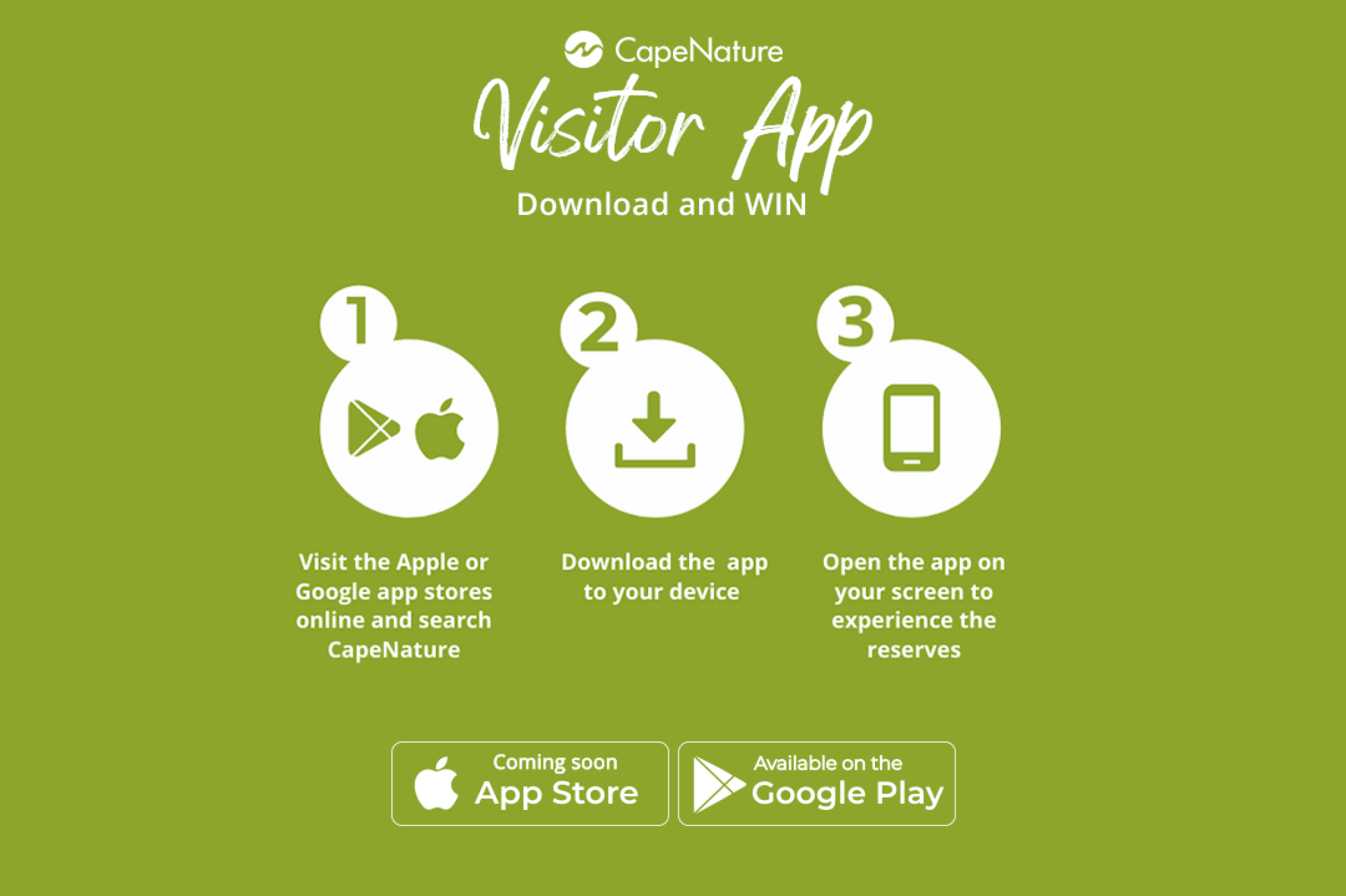 Image related to website content Image related to website content