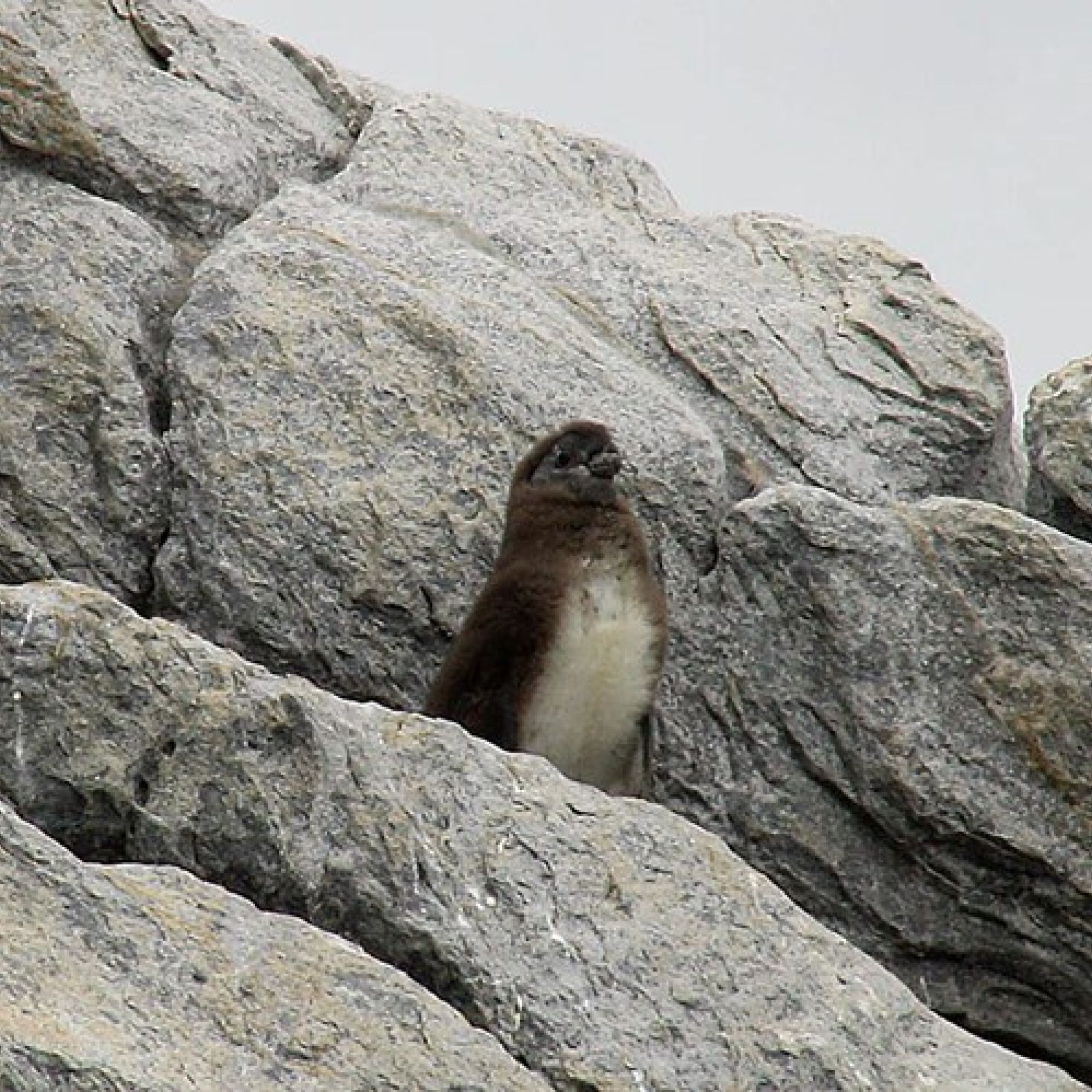 Image related to website content Image related to website content