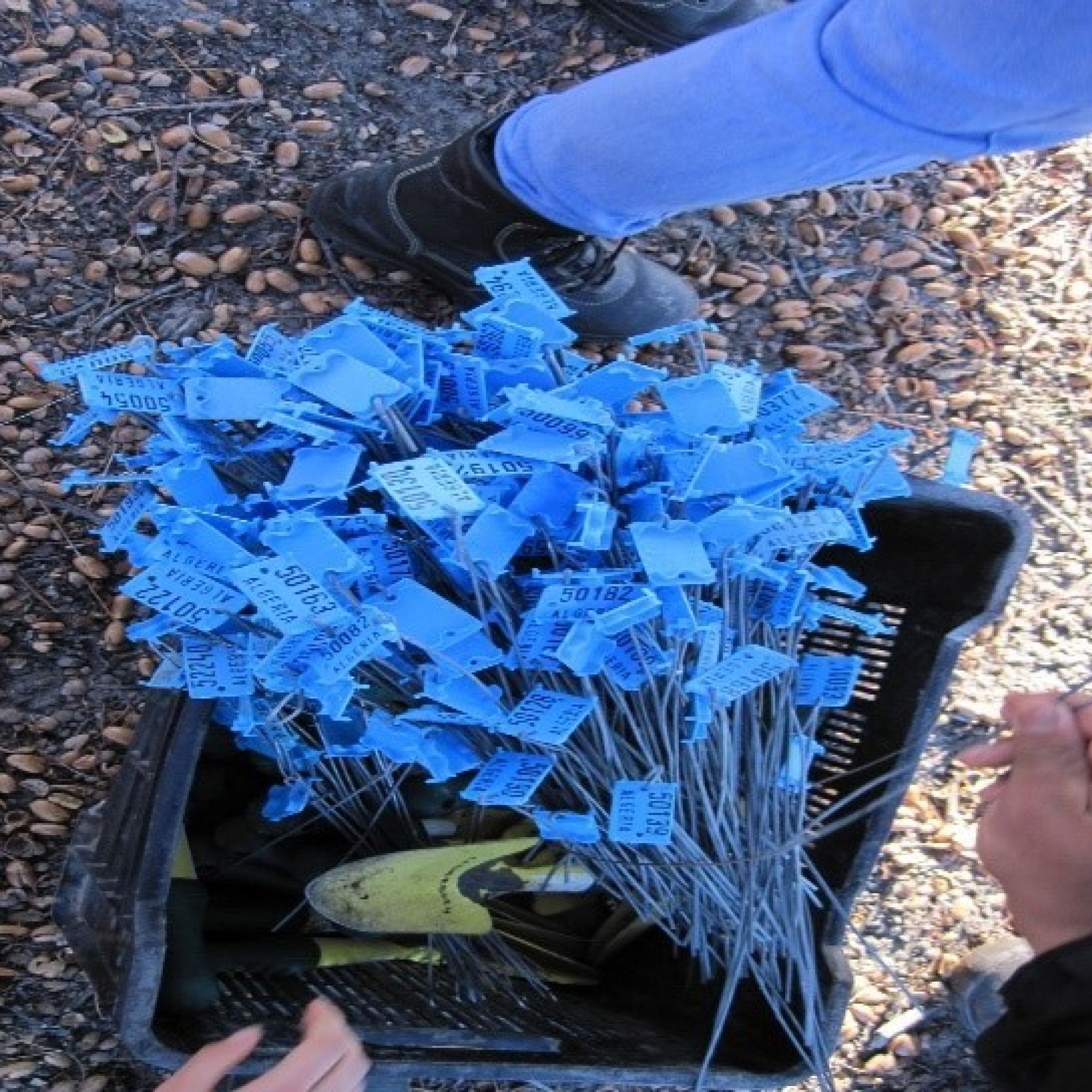 Image related to website content Image related to website content