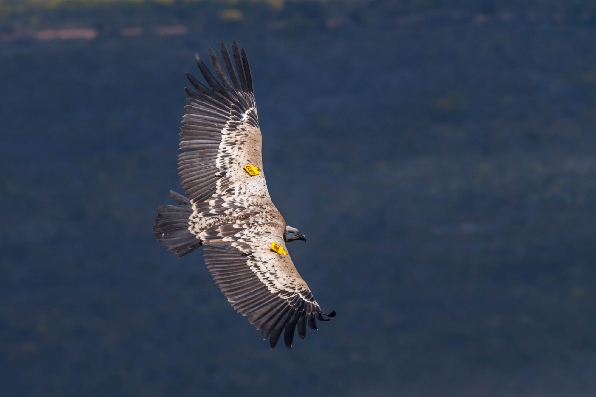 Image related to website content Image related to website content