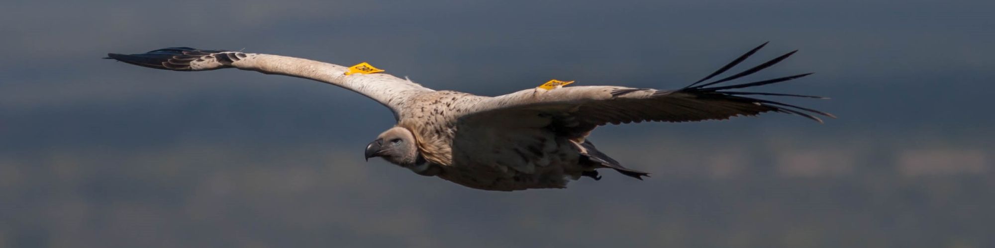 Image related to website content Image related to website content