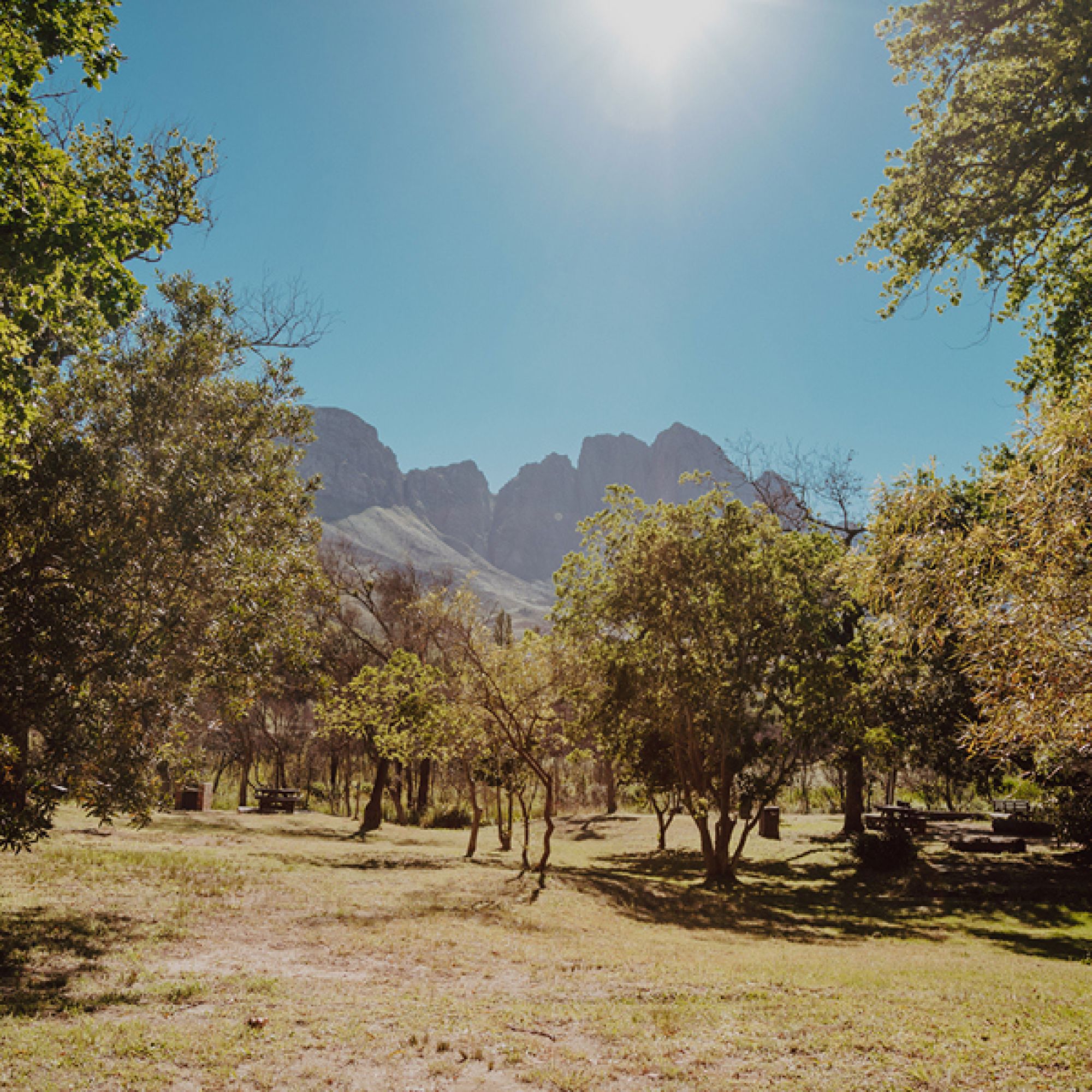 Image related to website content Image related to website content