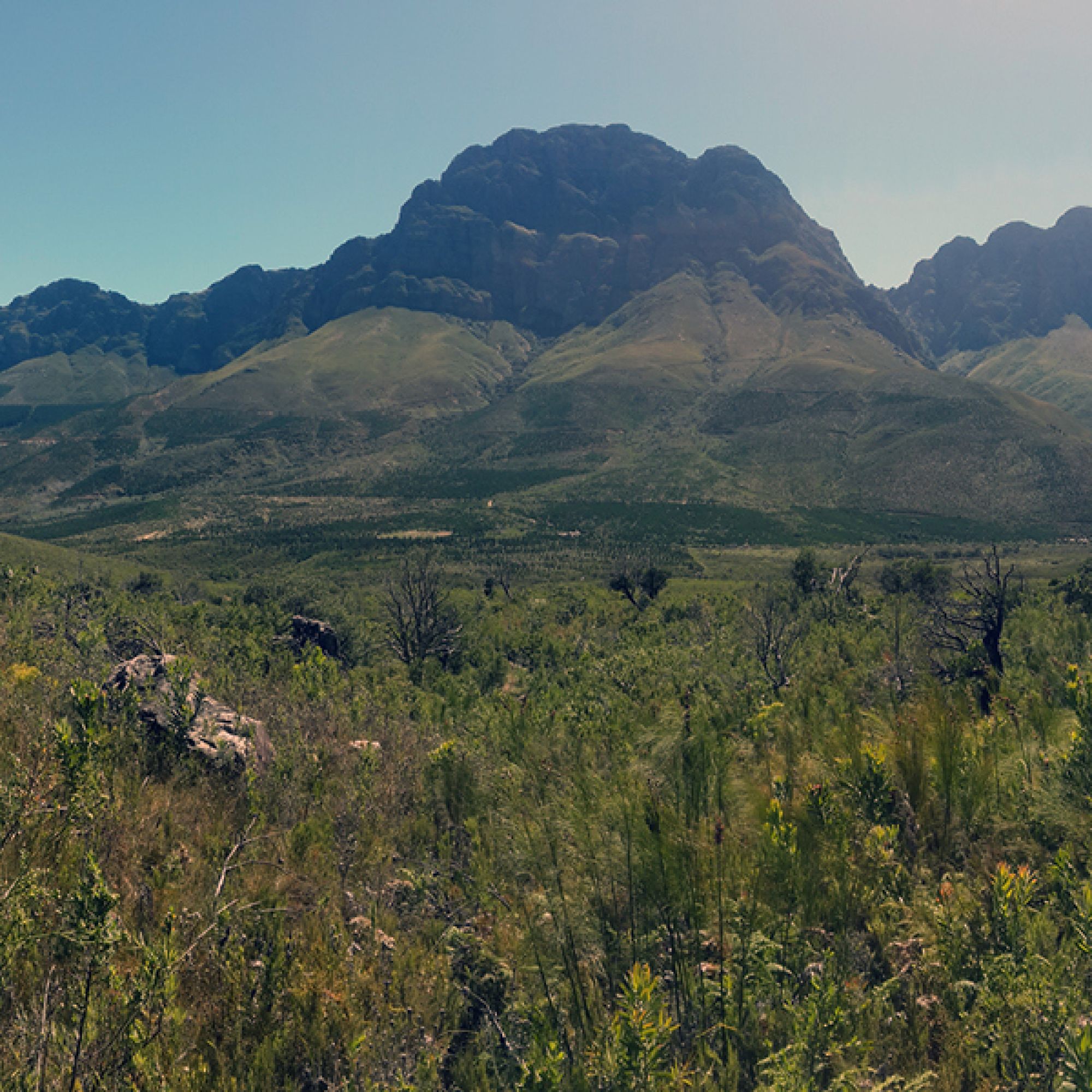 Image related to website content Image related to website content