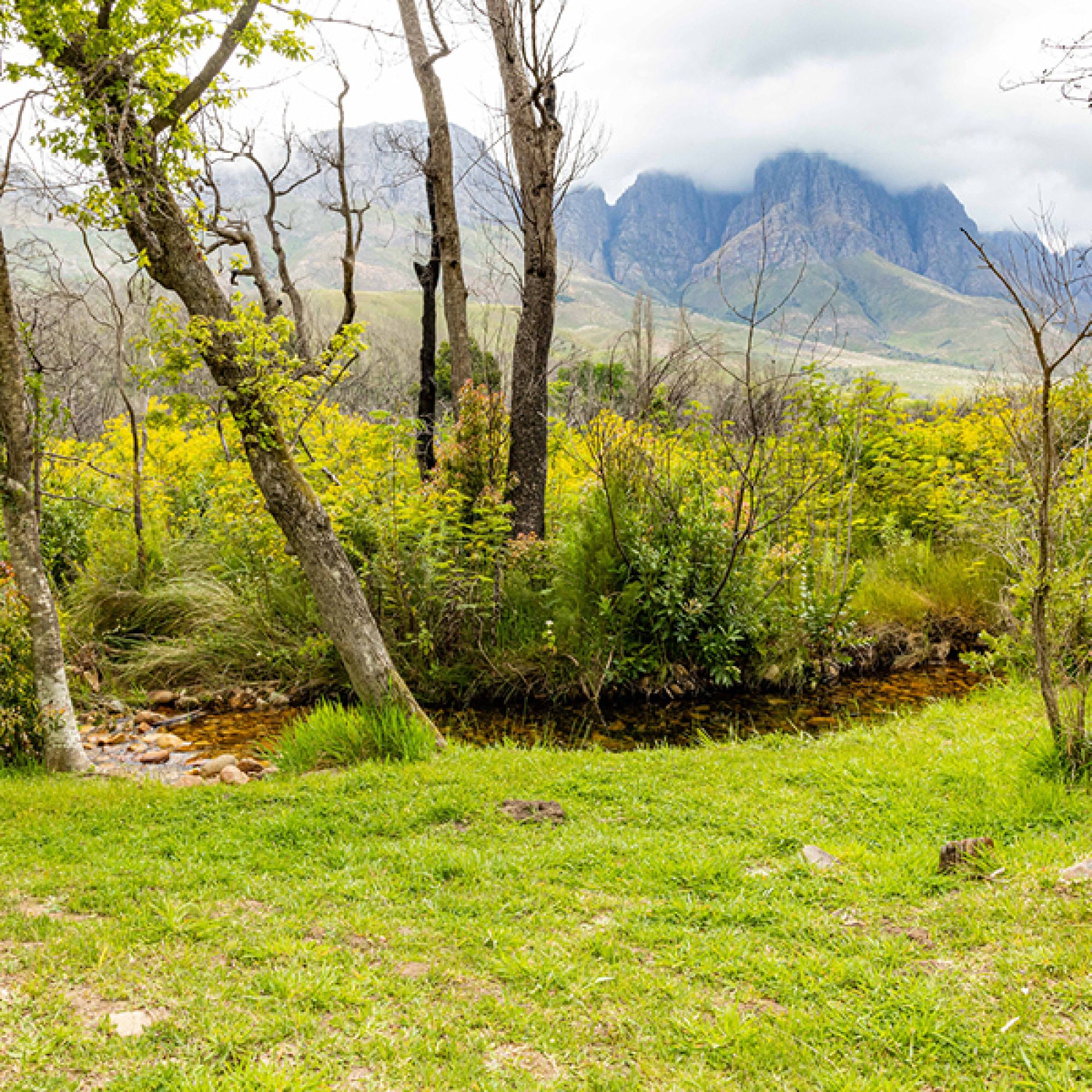 Image related to website content Image related to website content