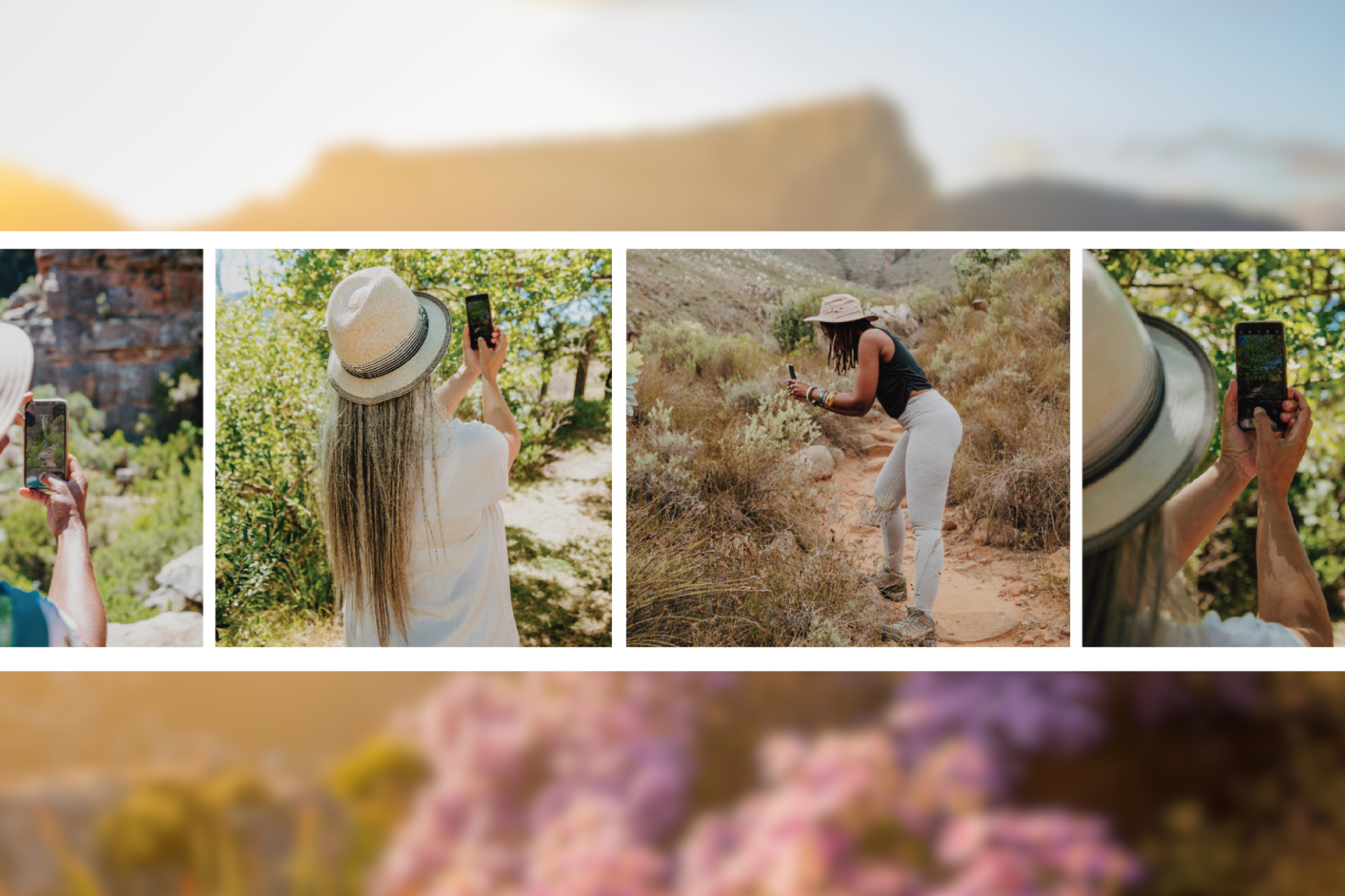 Image related to website content Image related to website content