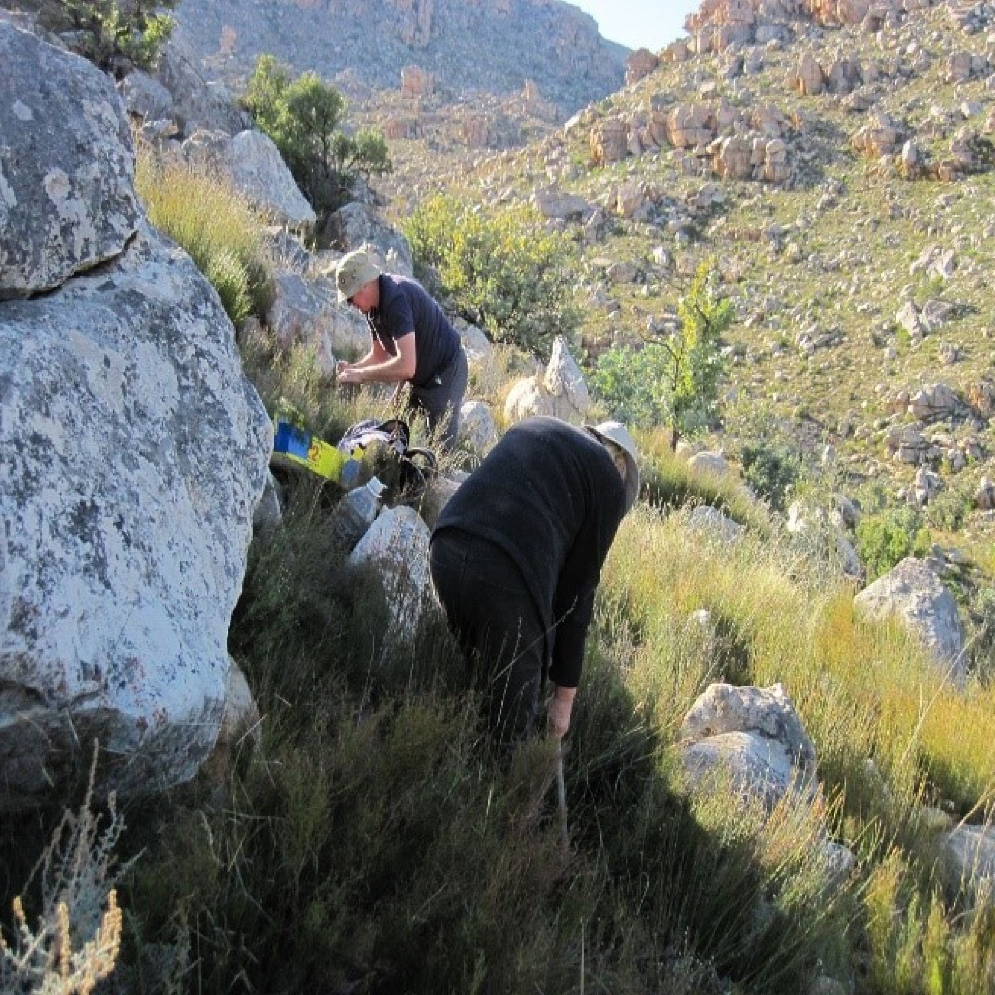 Image related to website content Image related to website content