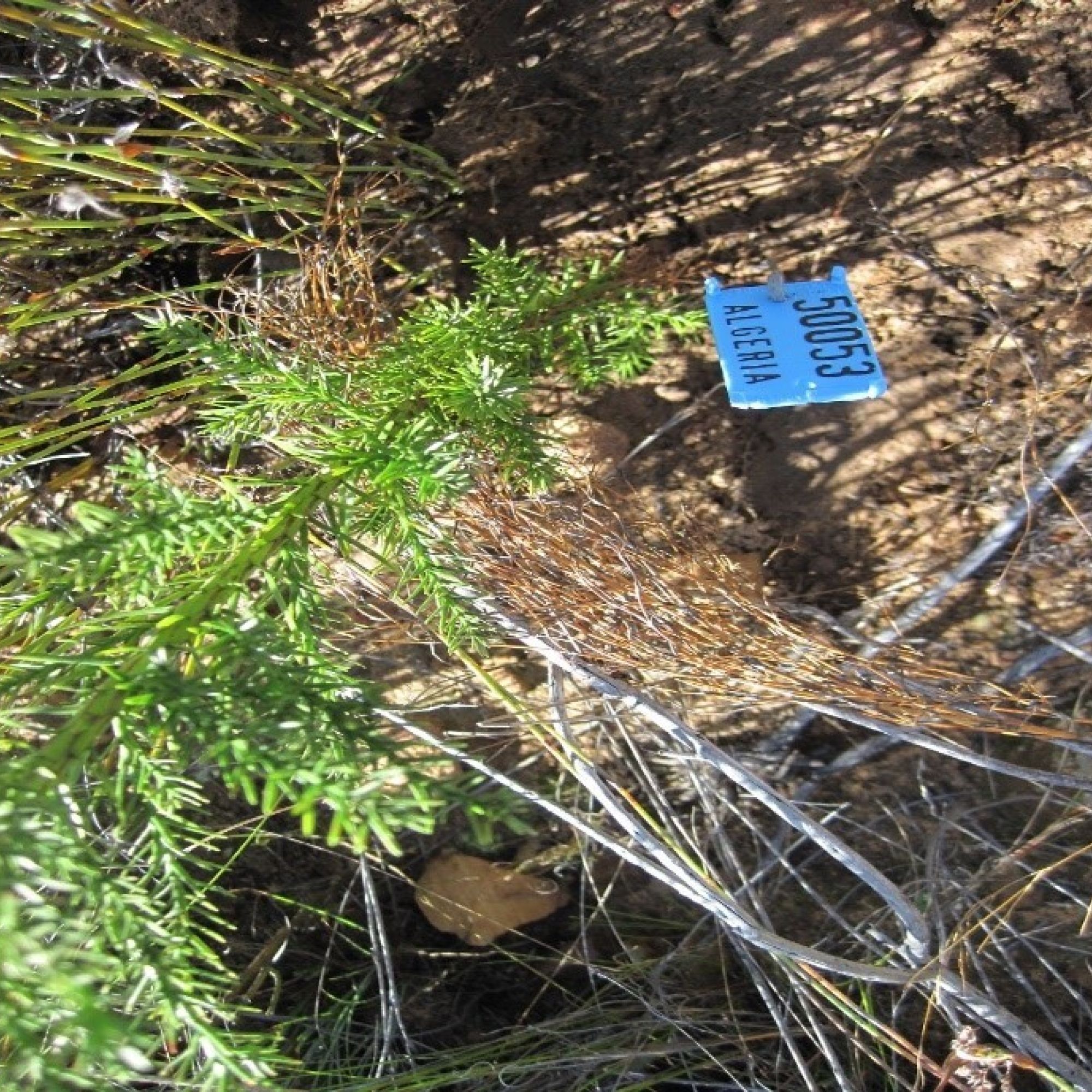 Image related to website content Image related to website content