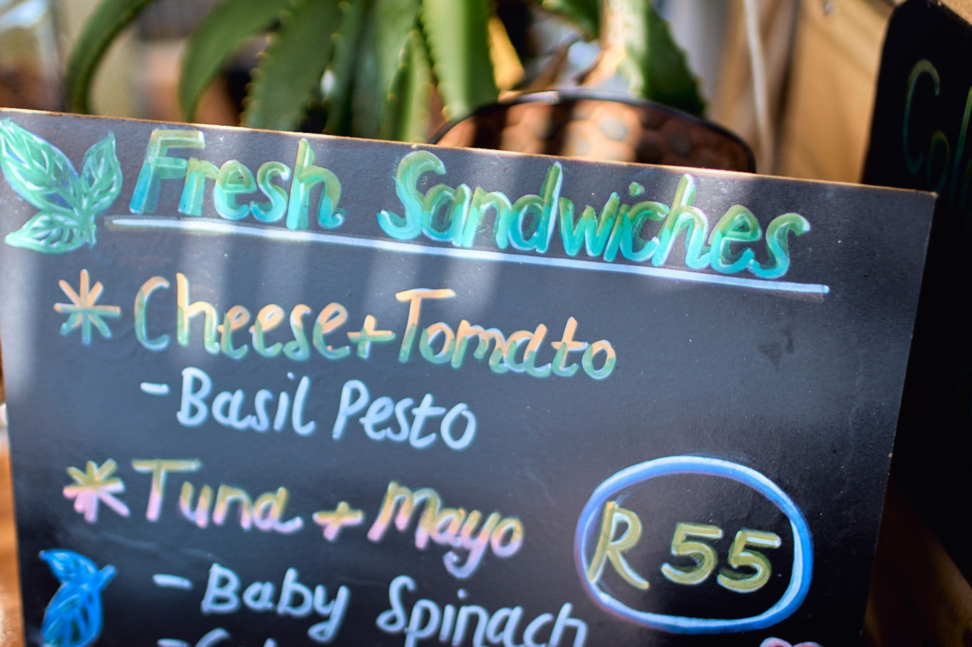 Image related to website content Image related to website content