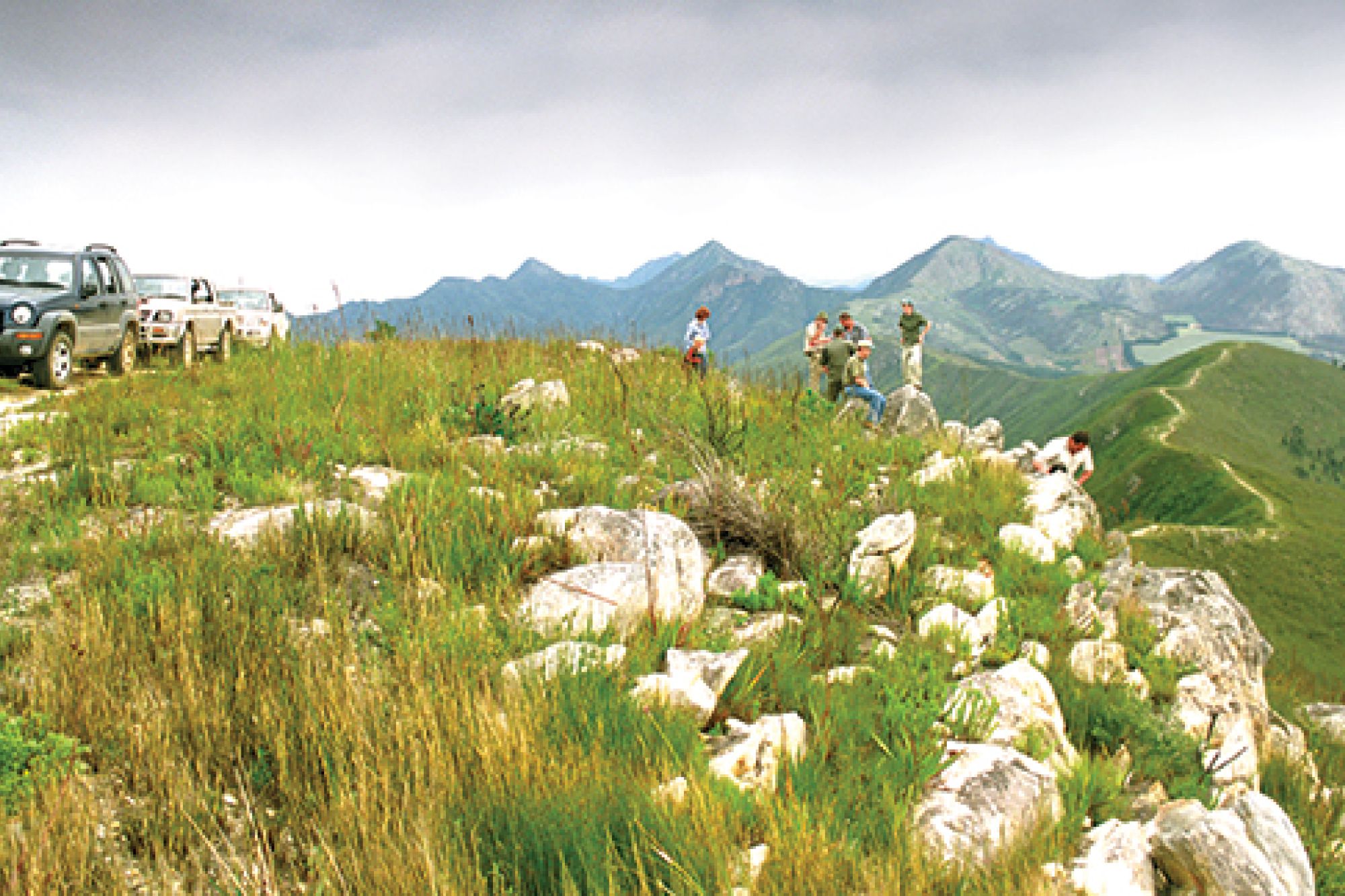 Image related to website content Image related to website content