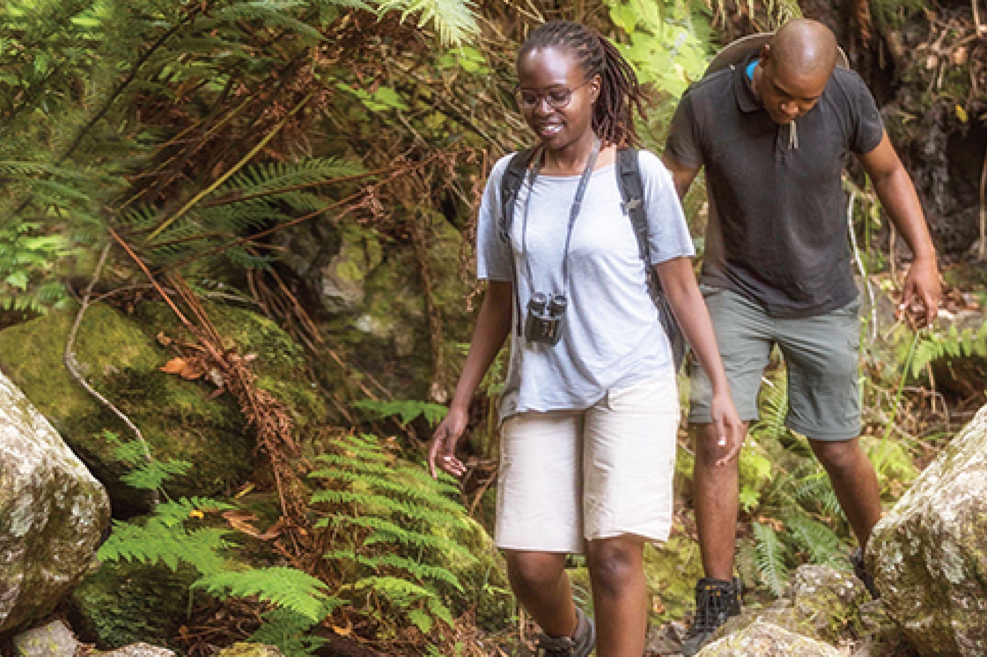 Image related to website content Image related to website content