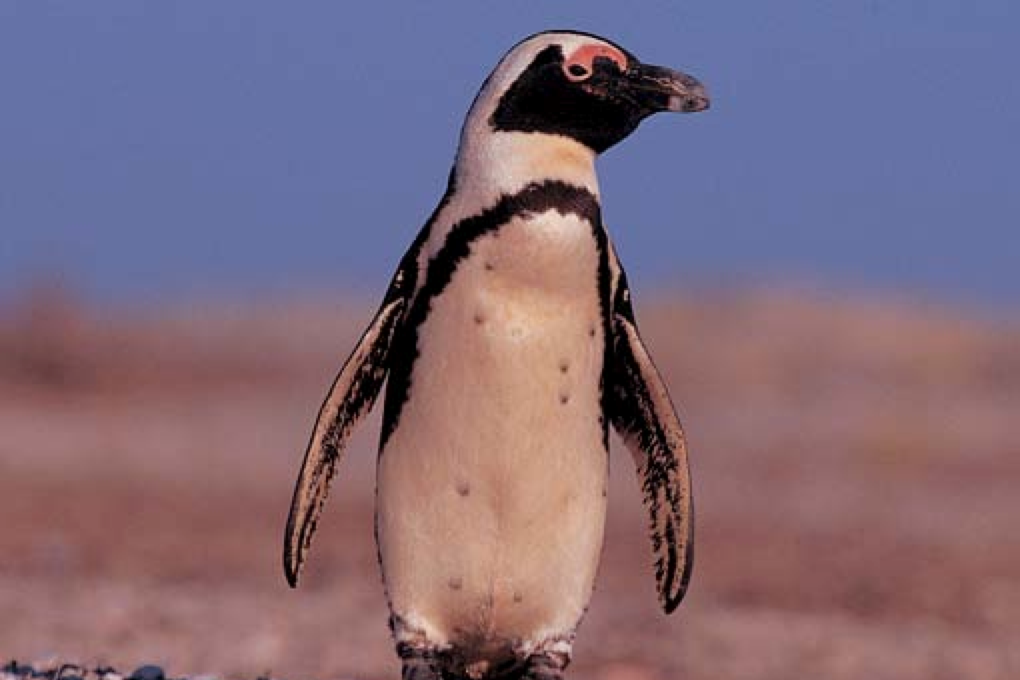 Image related to website content Image related to website content