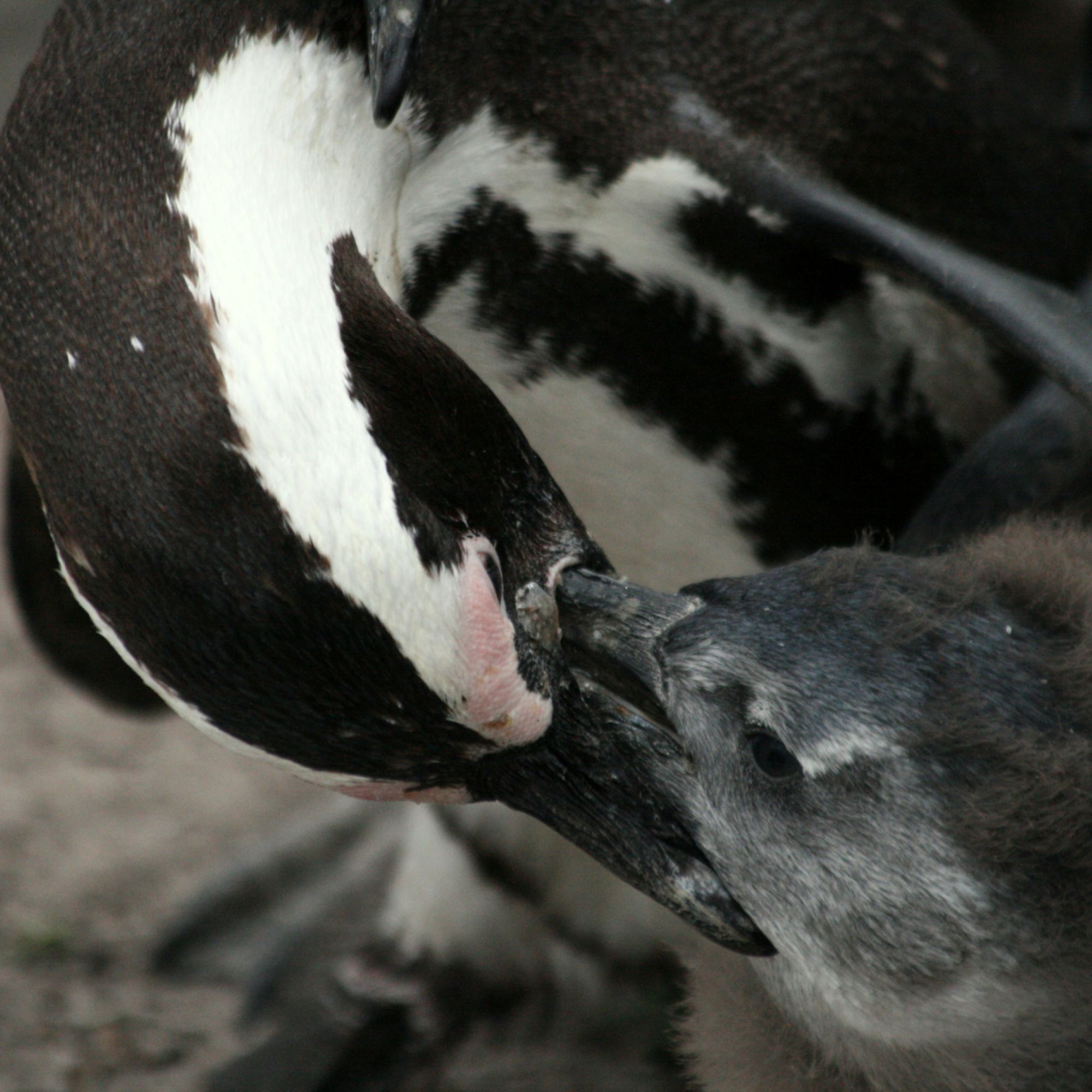 Image related to website content Image related to website content