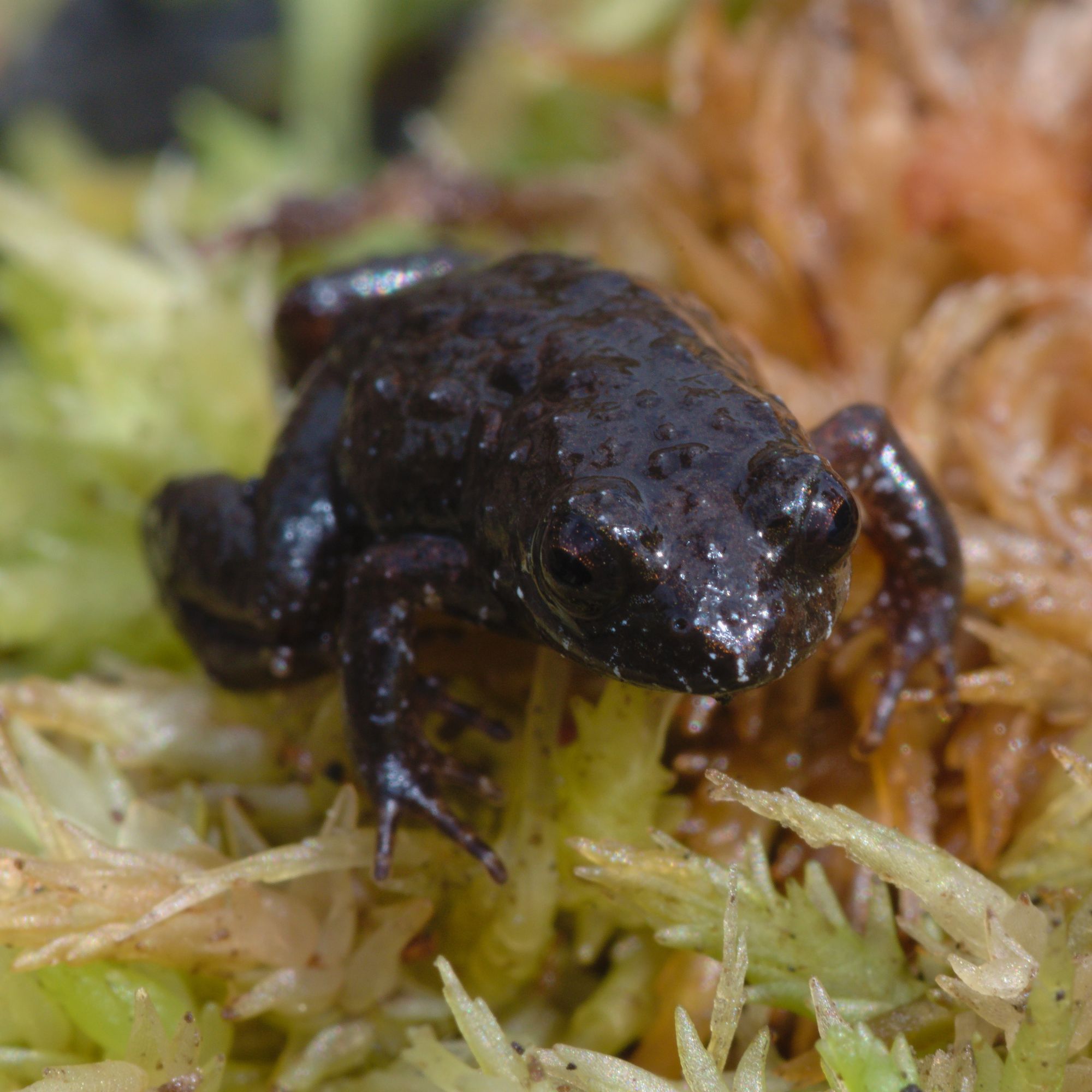 Image related to website content Image related to website content