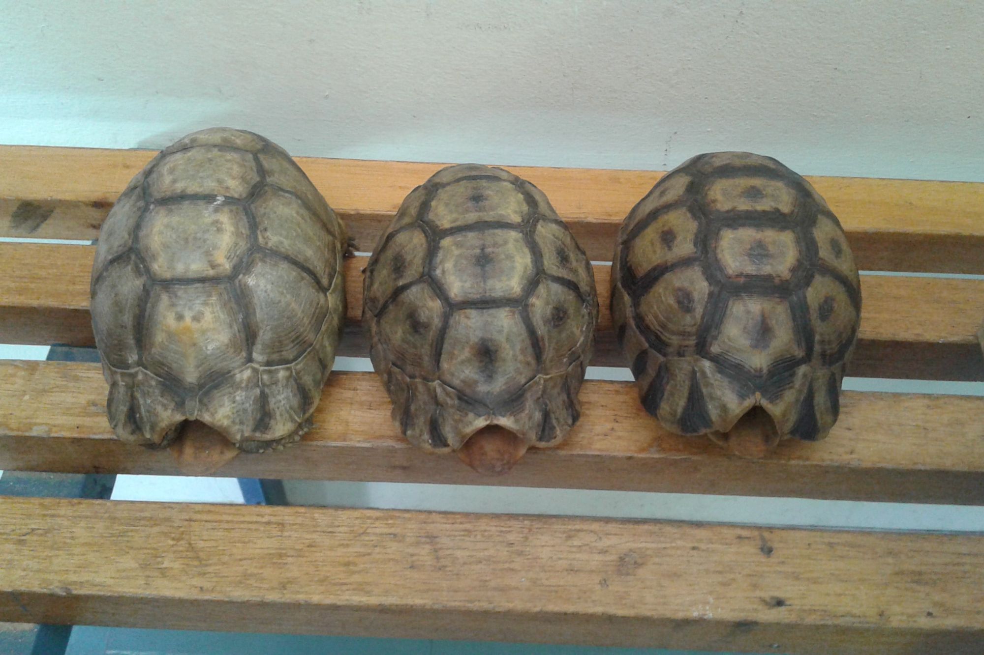 Image related to website content Image related to website content