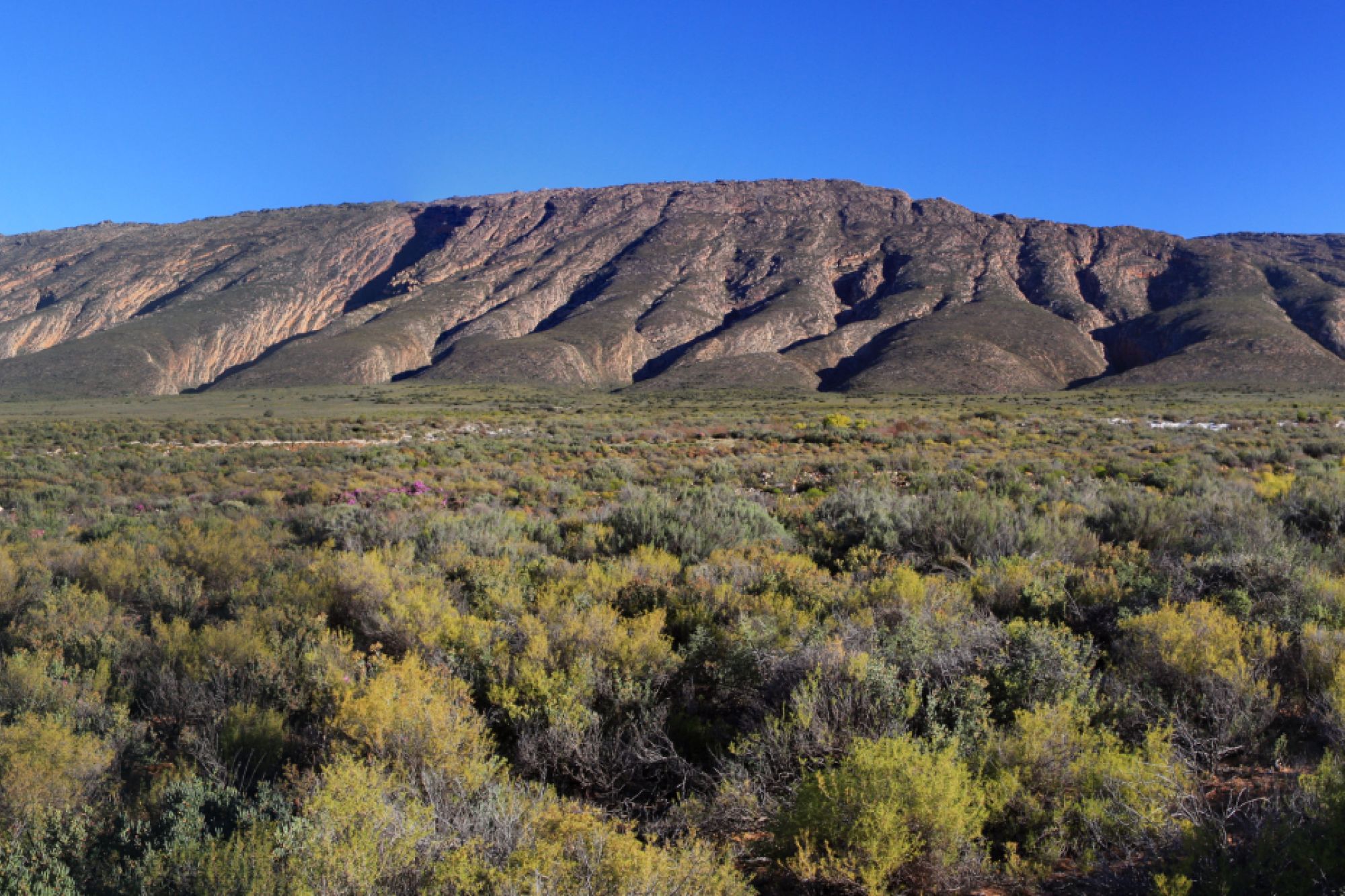 Image related to website content Image related to website content