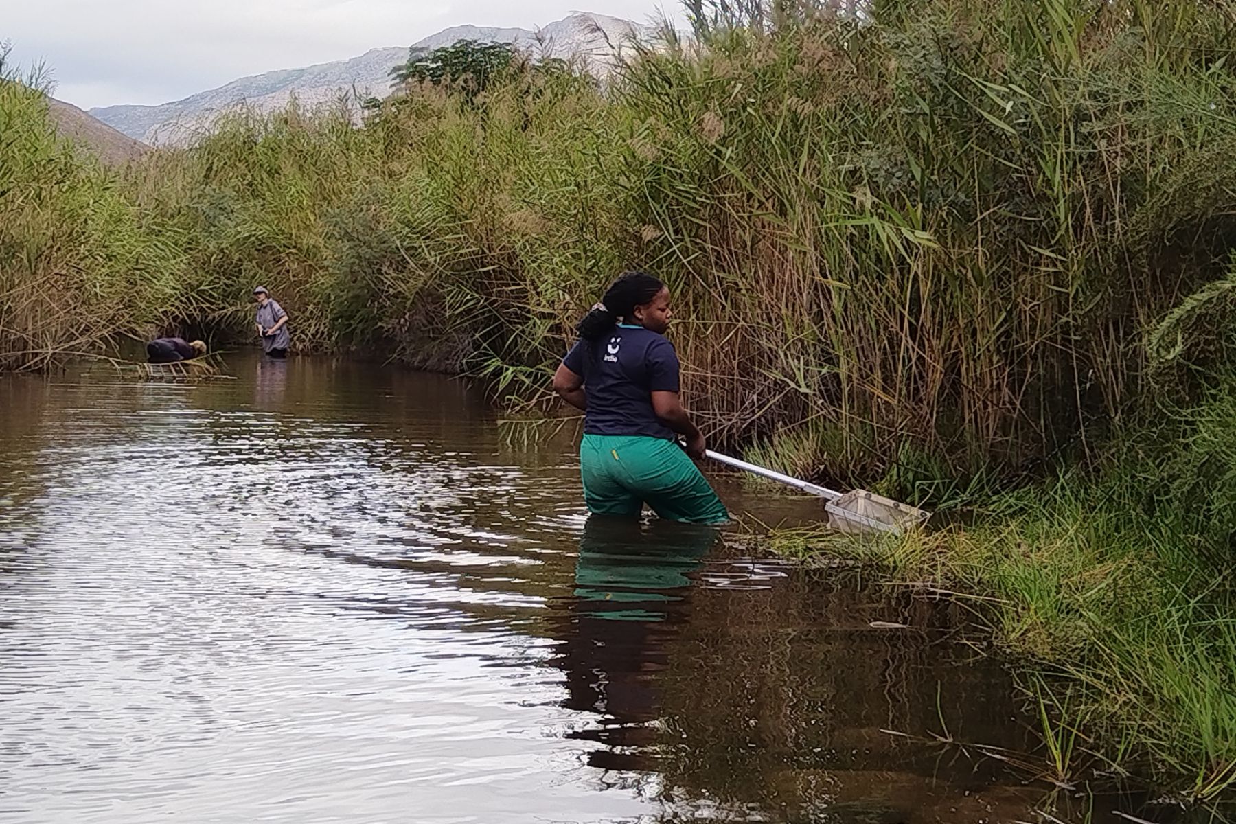 Huis River aquatic invertebrate survey strengthens partnerships for ...