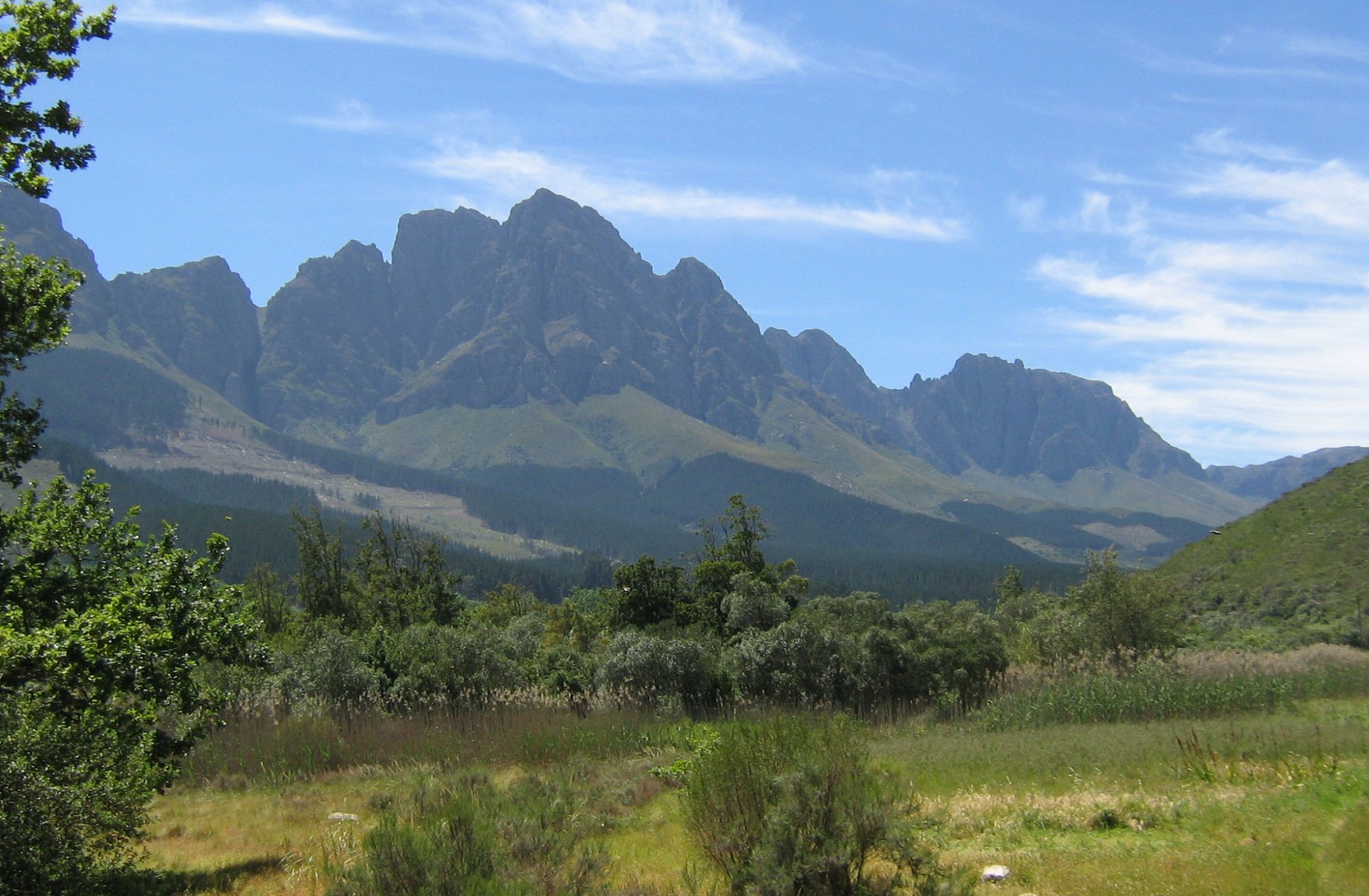 Image related to website content