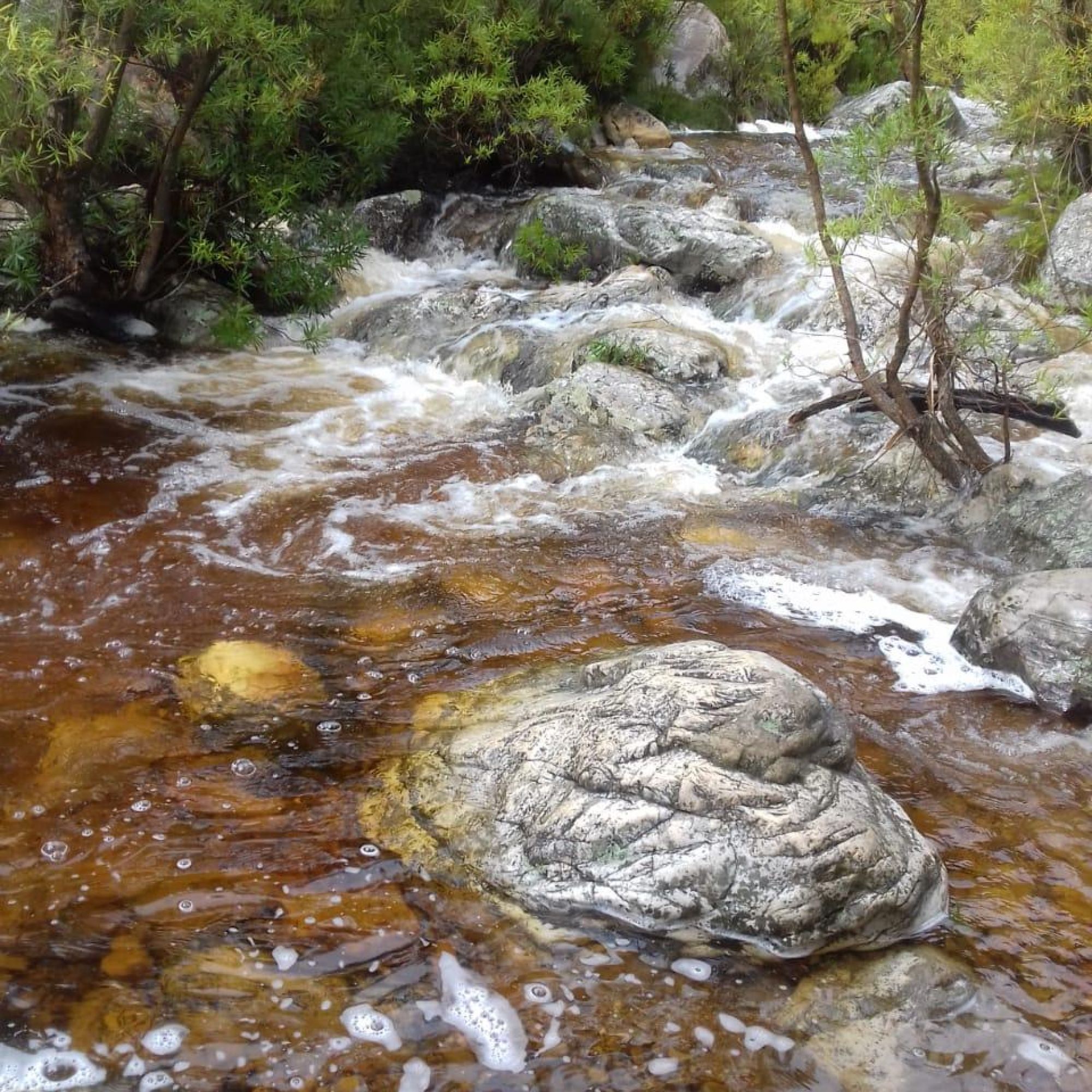 Image related to website content Image related to website content