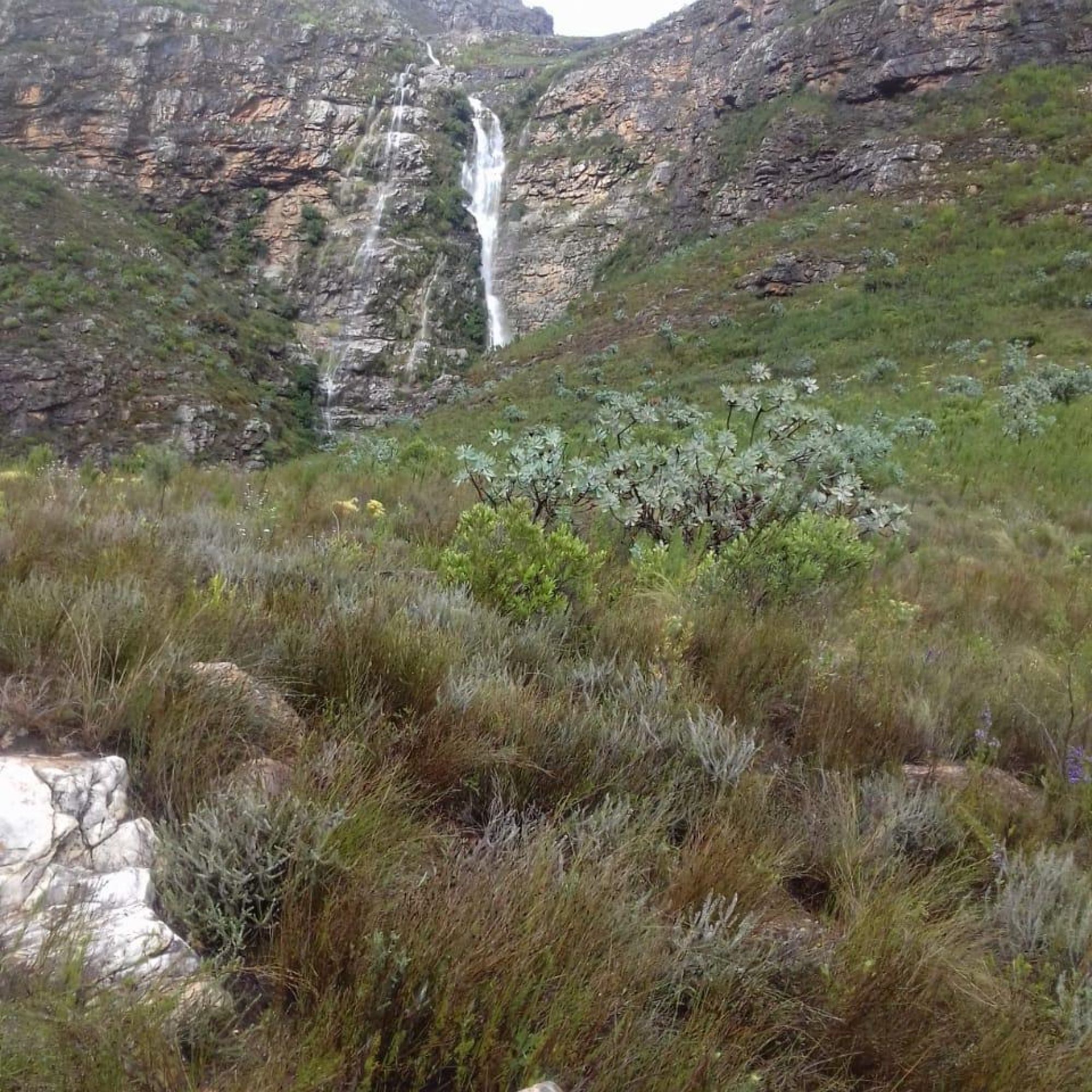 Image related to website content Image related to website content