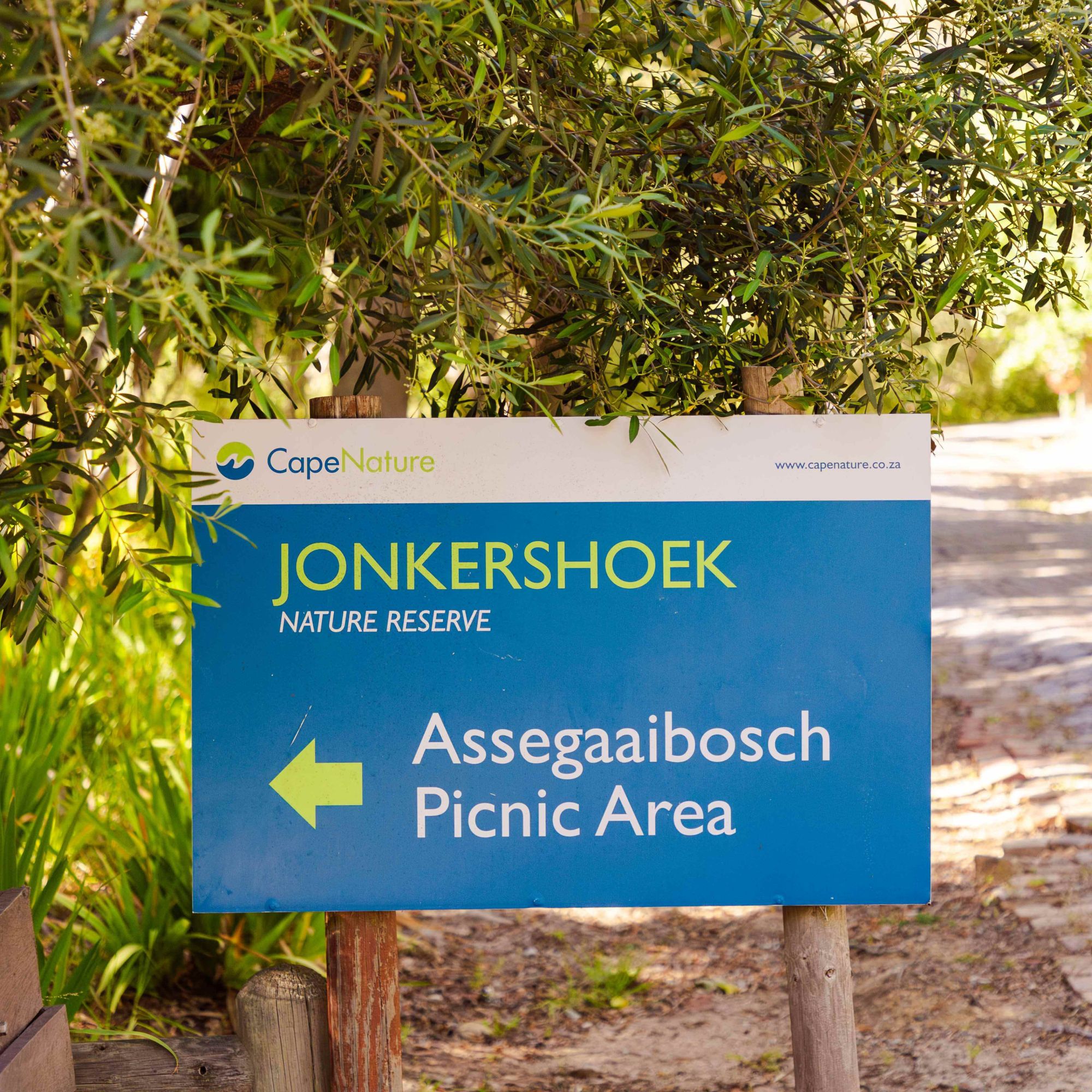 Assegaaibosch Nov 2024 7