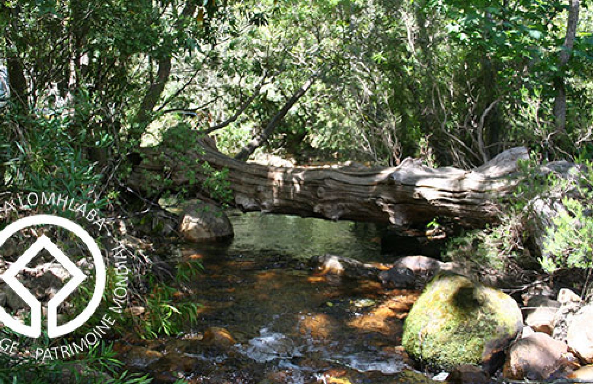 Image related to website content