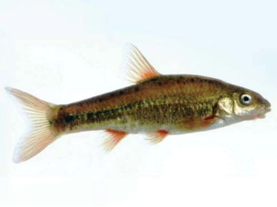 Image related to website content Image related to website content