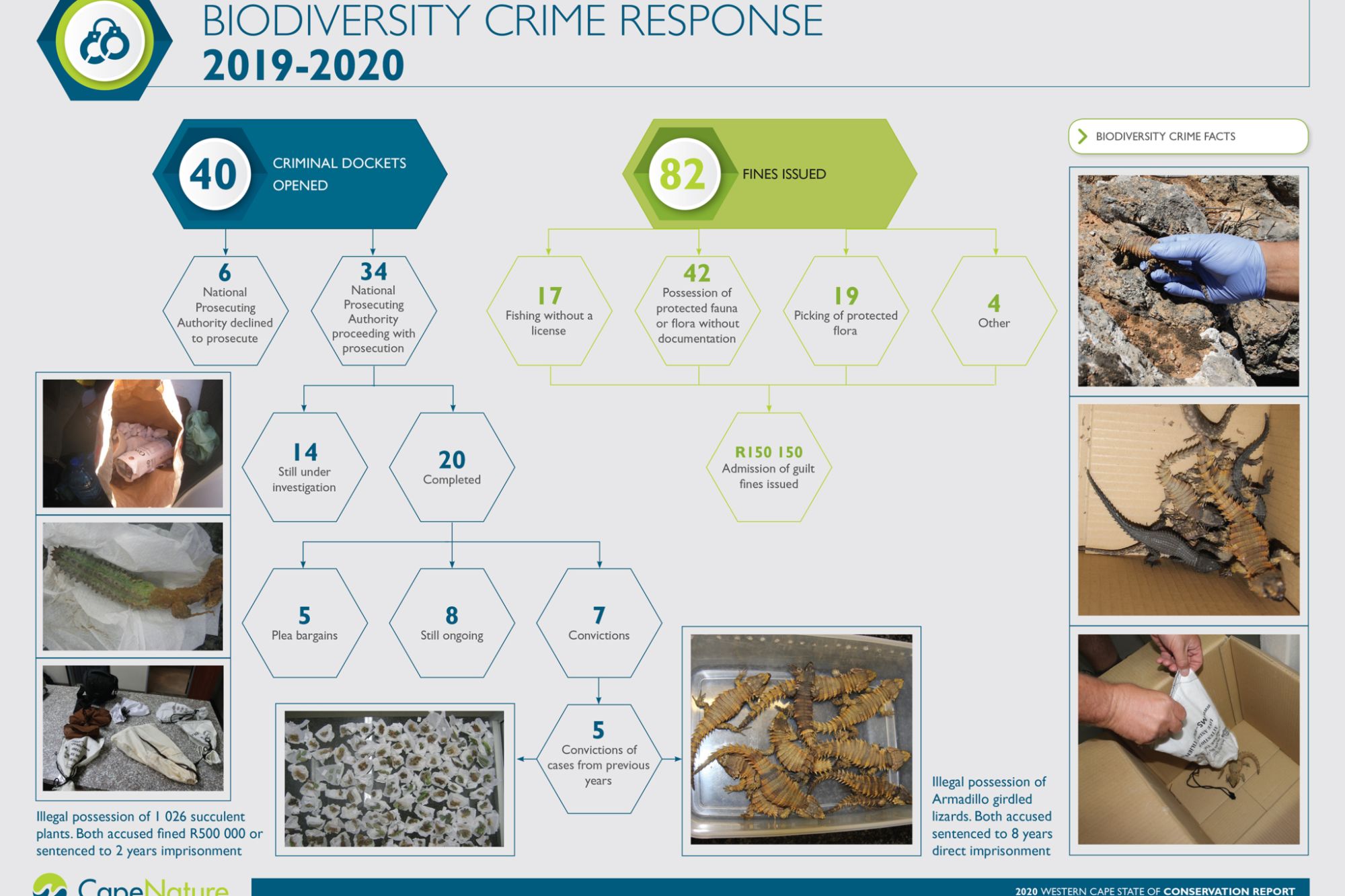 Image related to website content Image related to website content